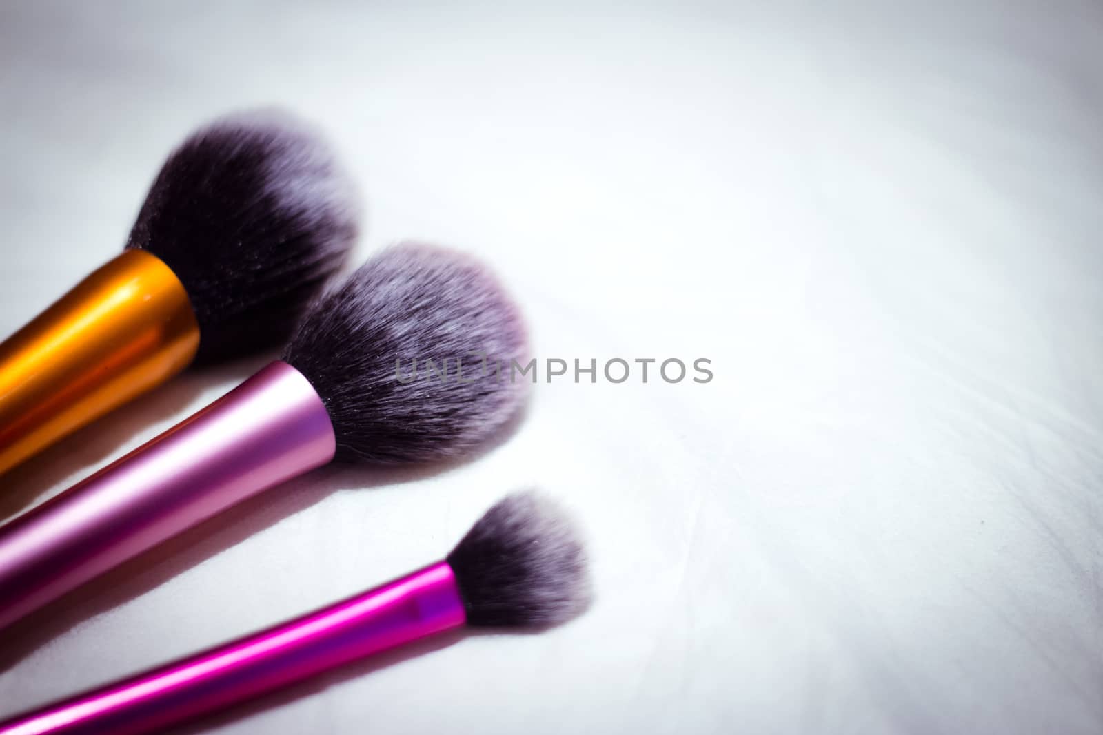 Set of brushes in different sizes for makeup. No people. Copy space