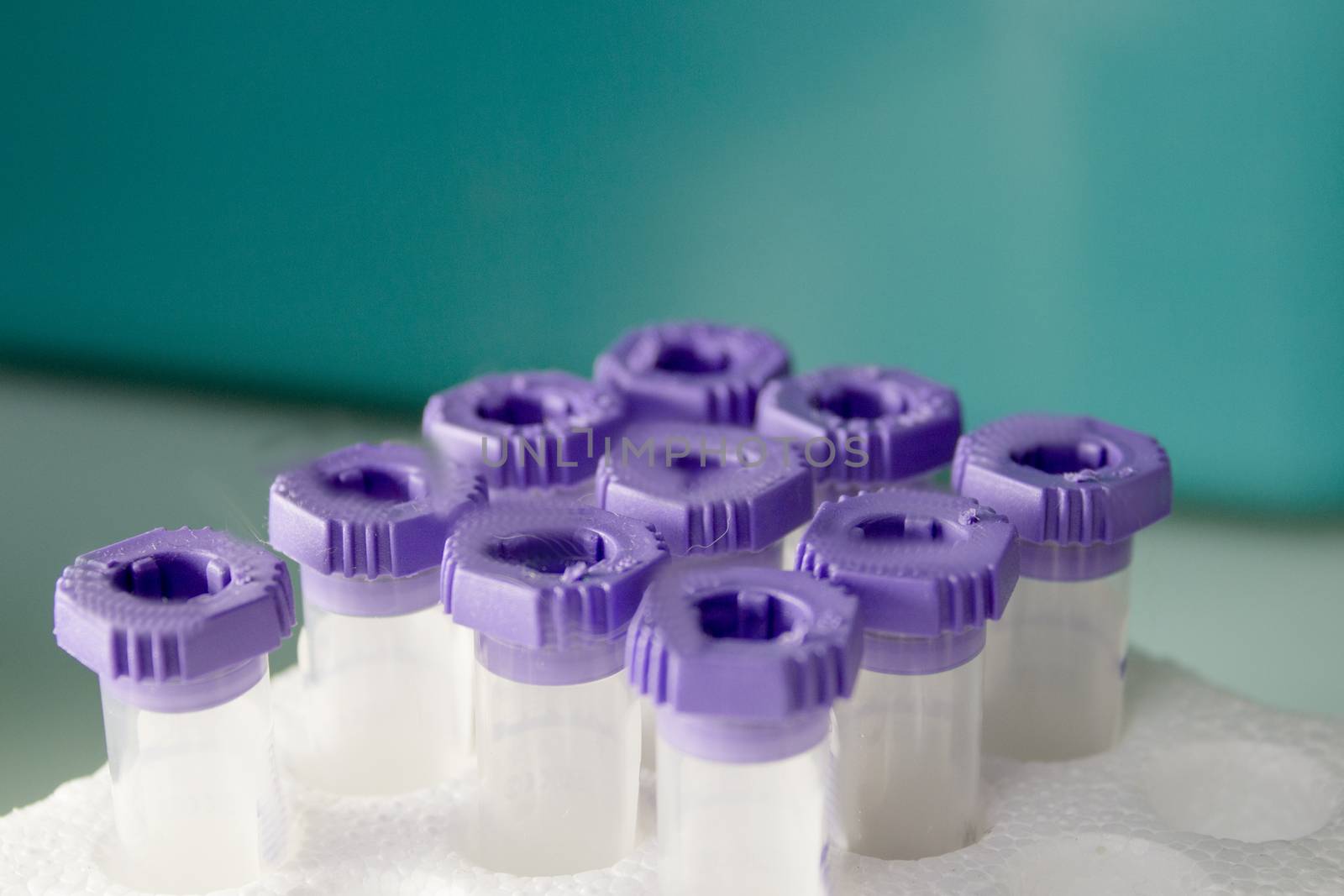 Vials for veterinary use to cure different diseases. No people