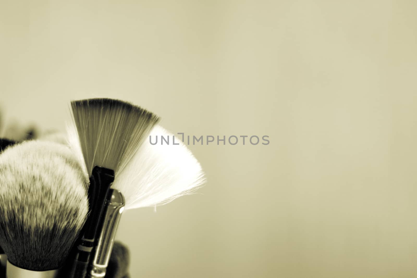 Set of brushes in different sizes for makeup. No people. Copy space