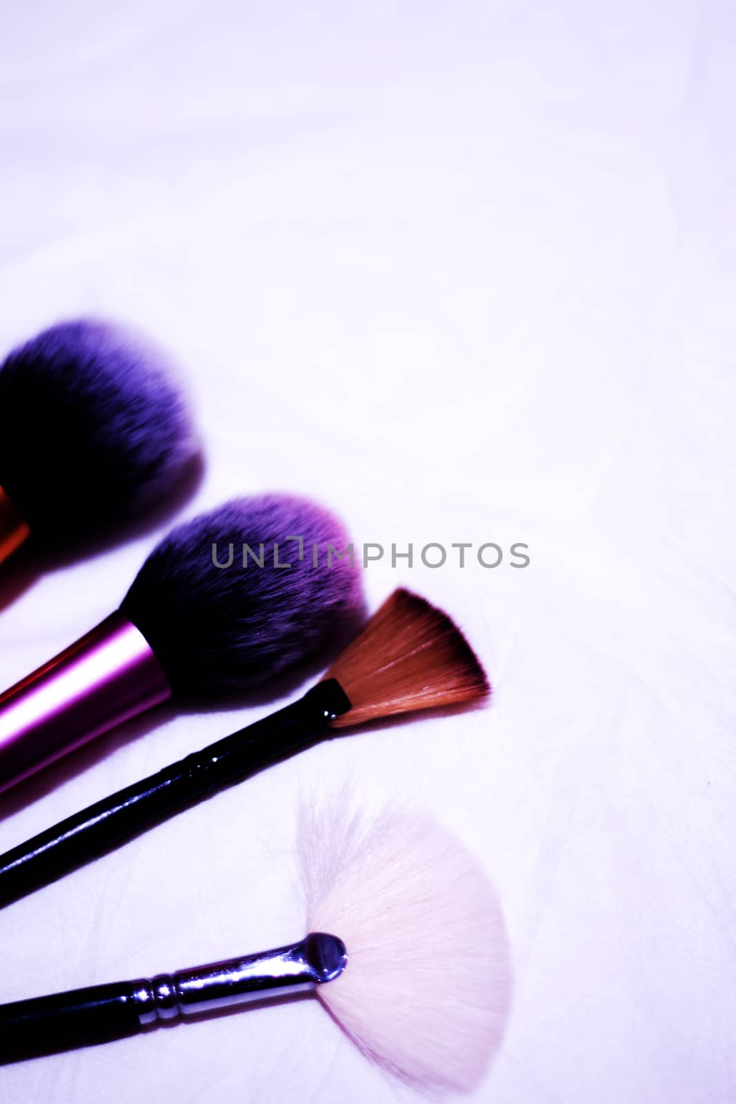 Set of brushes in different sizes for makeup. No people. Copy space