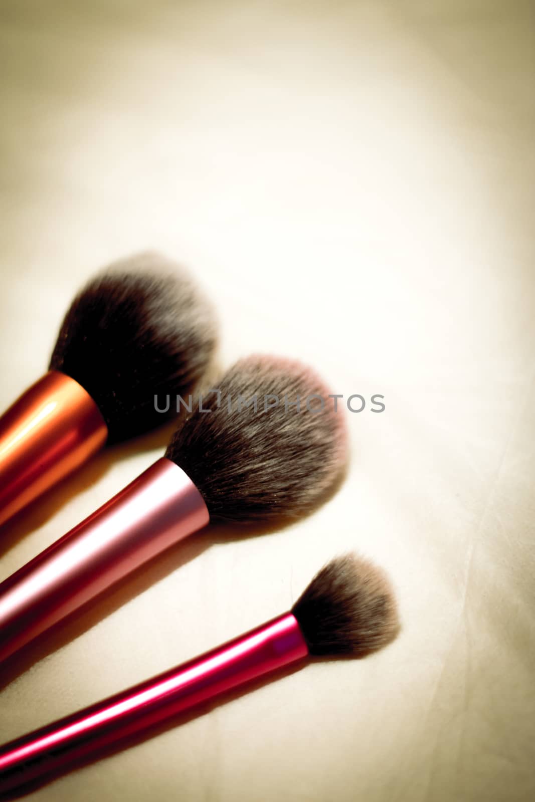 Set of brushes in different sizes for makeup. No people. Copy space