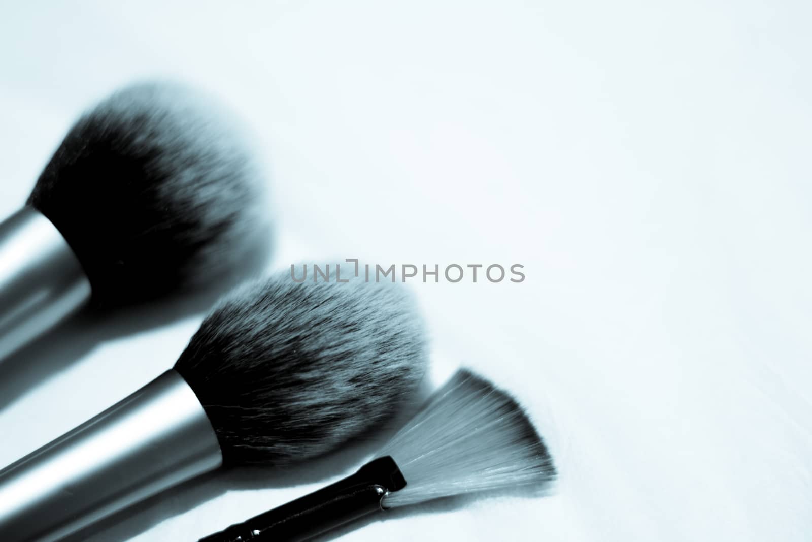 Set of brushes in different sizes for makeup. No people. Copy space