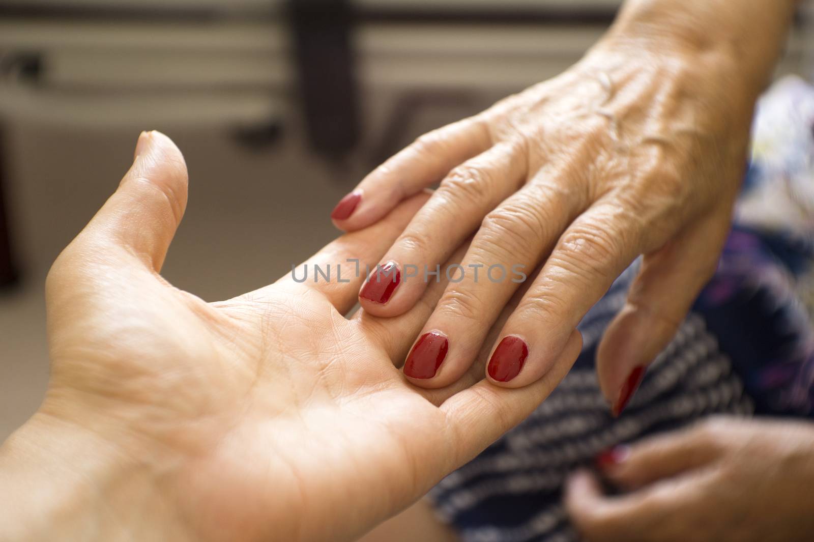 Hands of old woman and elderly caregiver