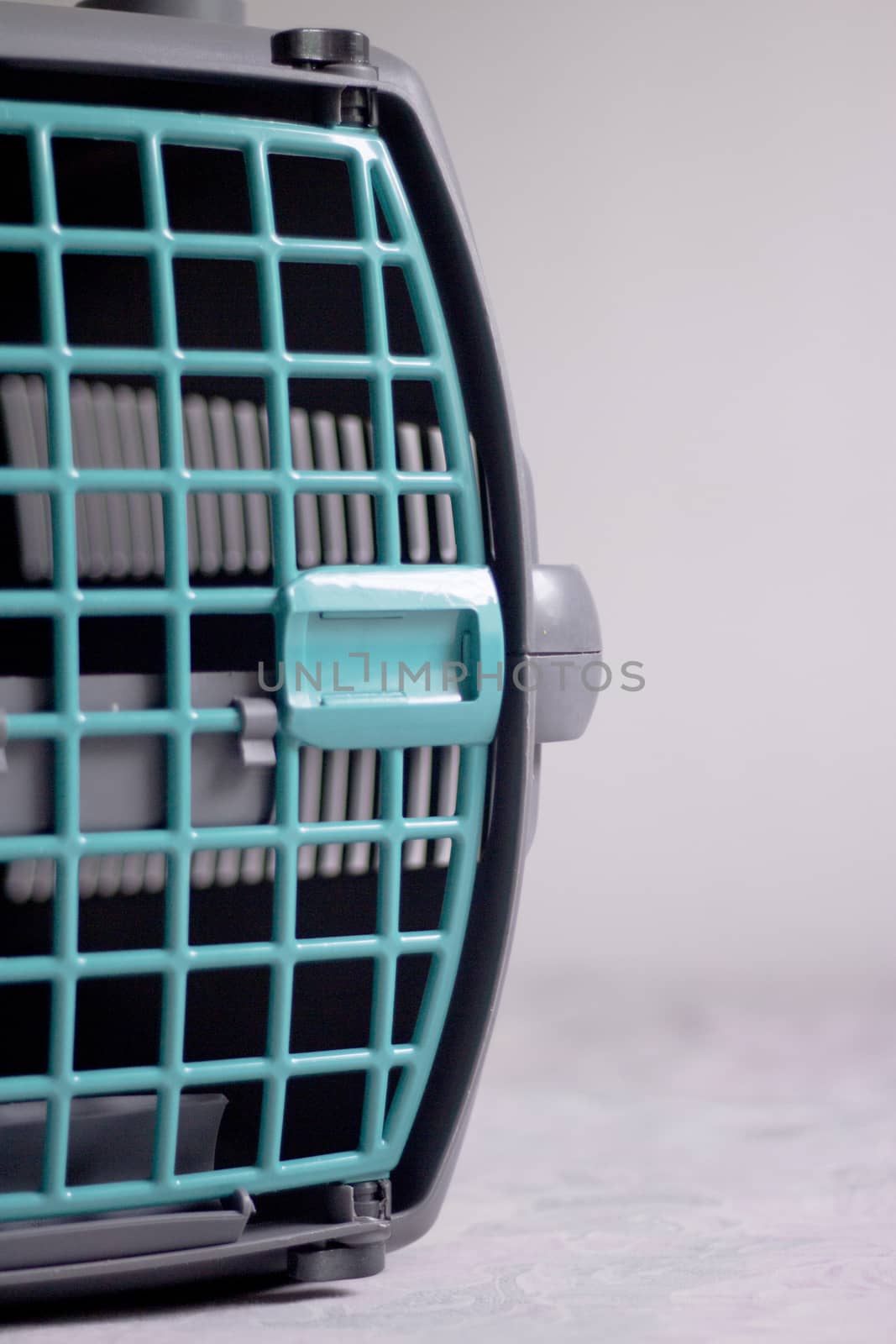 Large pet carrier with black defocused cat
