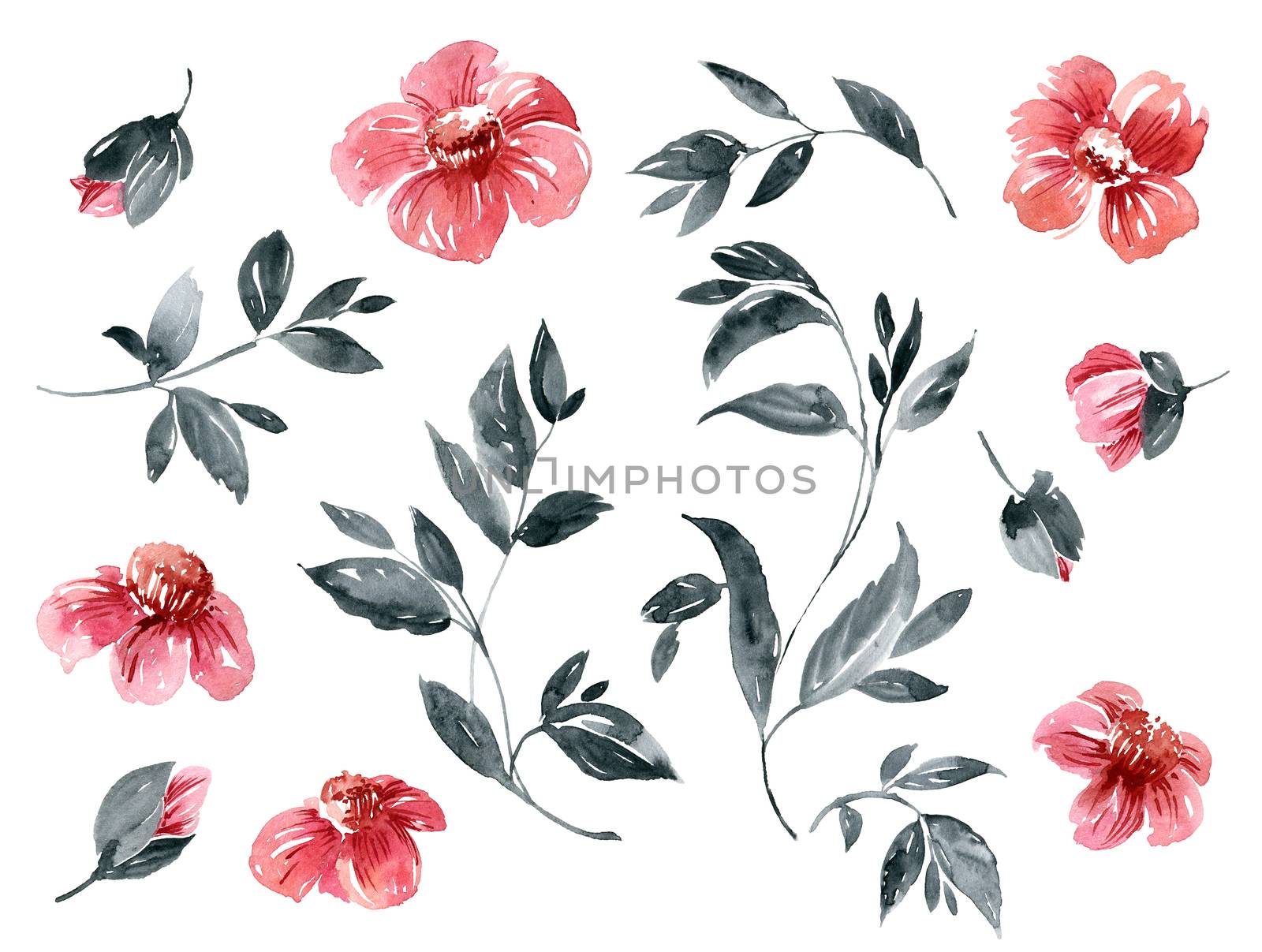 Watercolor flowers and leaves set by Olatarakanova