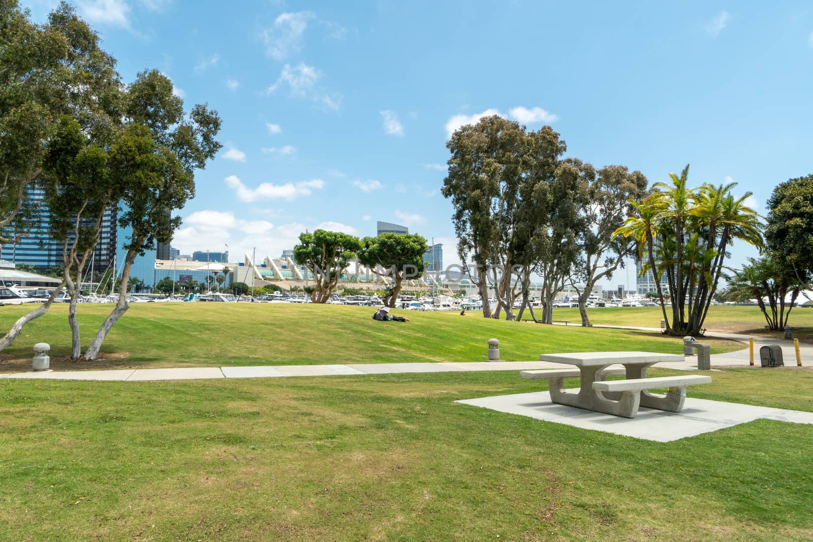 Waterfront public park with benches at the Embarcadero Marina Park South, San Diego Downtown. California. USA