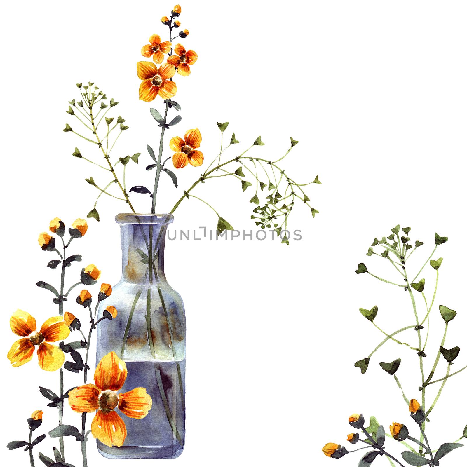Vase and meadow flowers by Olatarakanova