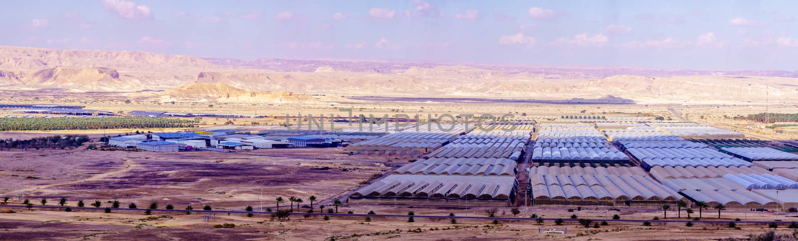 Panoramic view of countryside and desert landscape in Moshav Paran, the Arava desert, southern Israel