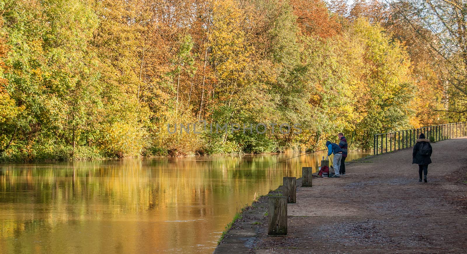 autumnal colours