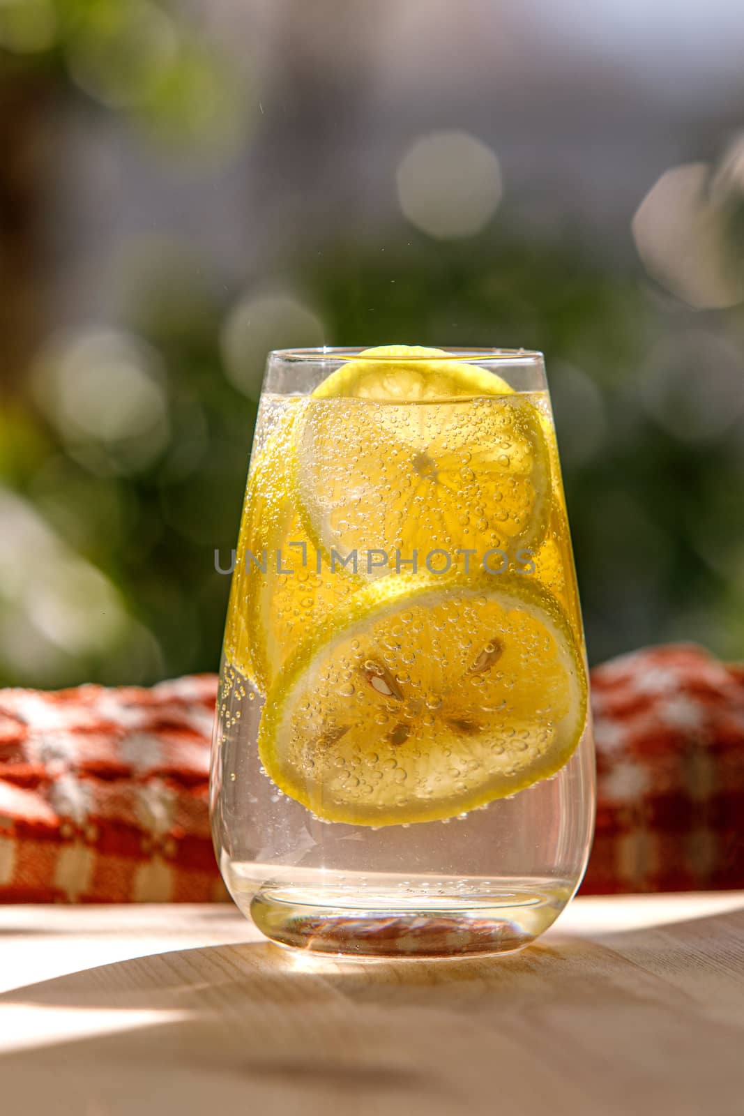 Citrus lemonade in garden setting, summer drink.