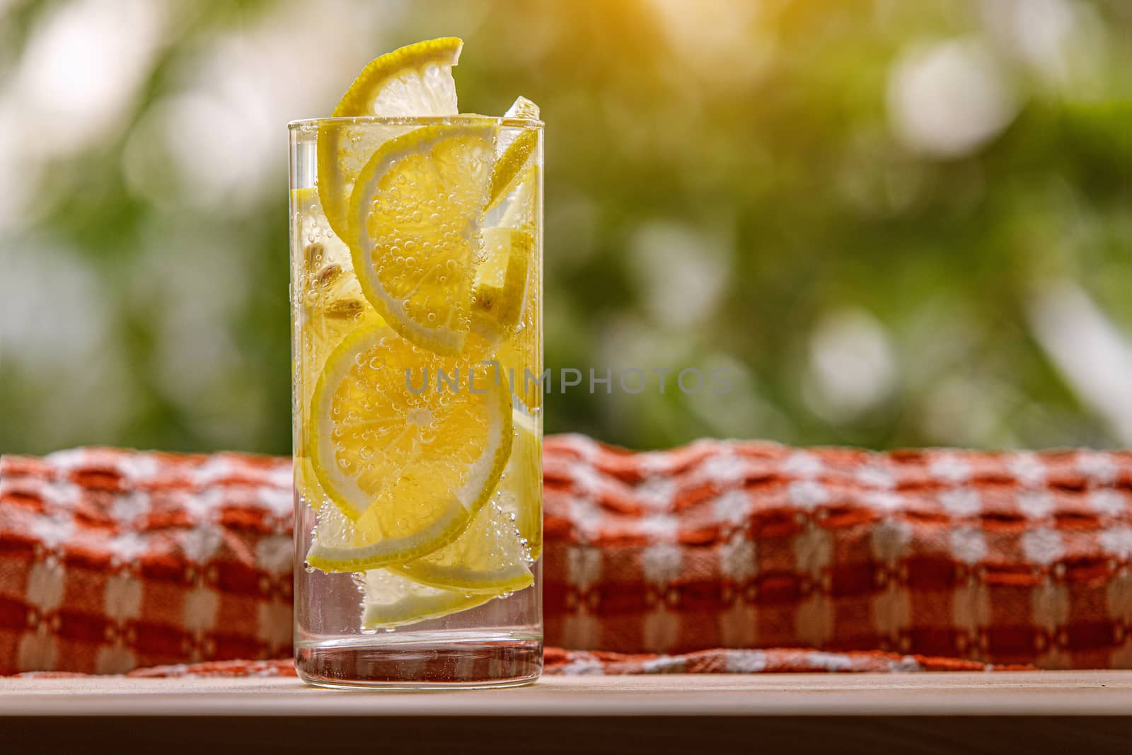 Citrus lemonade in garden setting, summer drink.