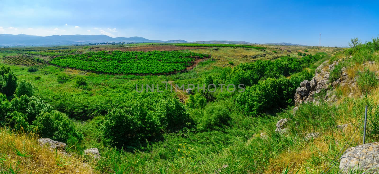 Panoramic landscape of the Snir Stream (Hasbani River) Nature Reserve, Northern Israel