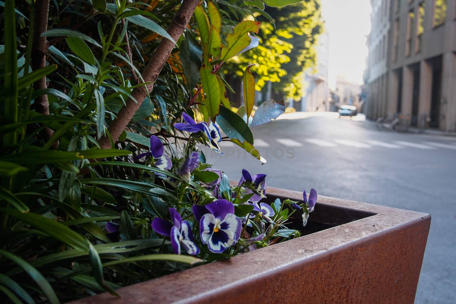 Cremona, Lombardy, Italy - April 30 th - May 1st 2020 - a deserted city  during coronavirus outbreak lockdown phase 2 and economic crisis