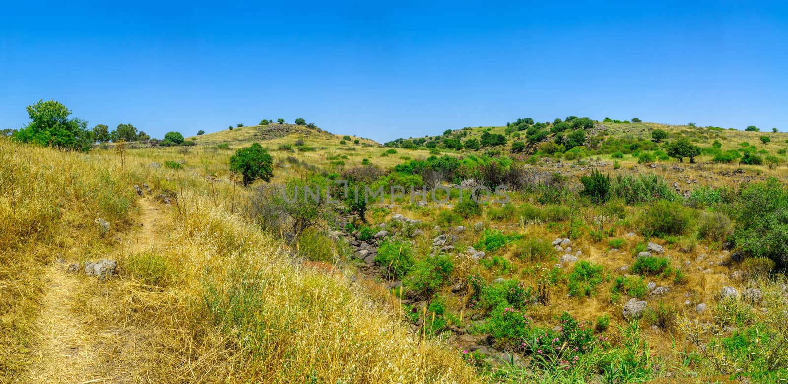 Panoramic view of Landscape along the Zavitan Stream, in Yehudiya Forest Nature Reserve, the Golan Heights, Northern Israel
