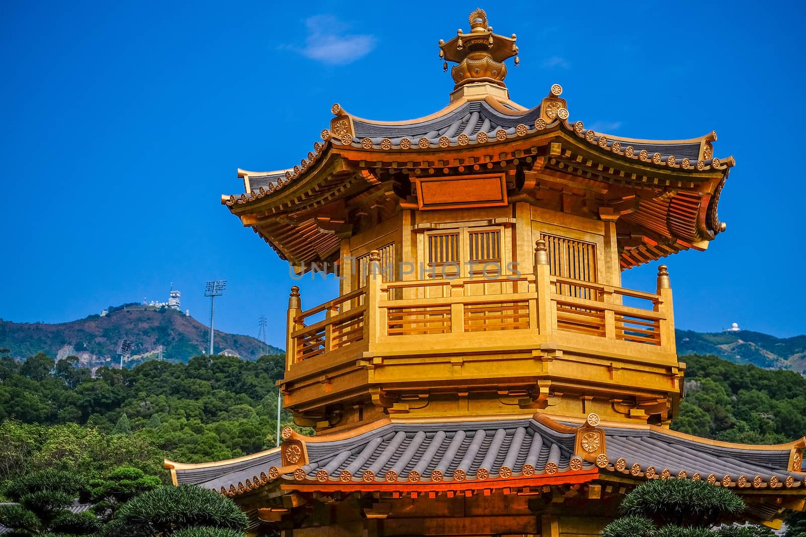 Front View The Golden Pavilion of Perfection in Nan Lian Garden by Surasak