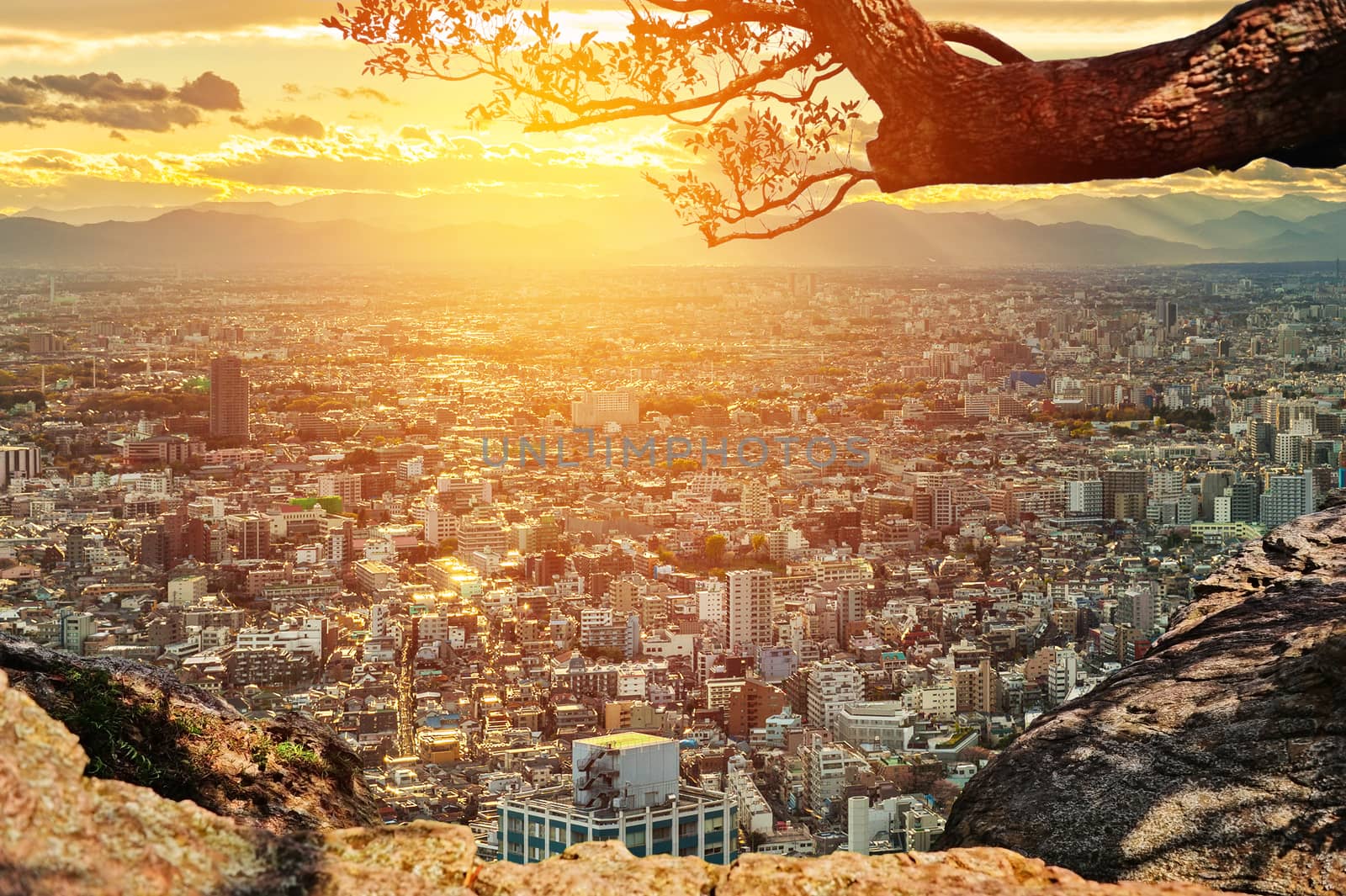View City in Japan On High Mountain by Surasak
