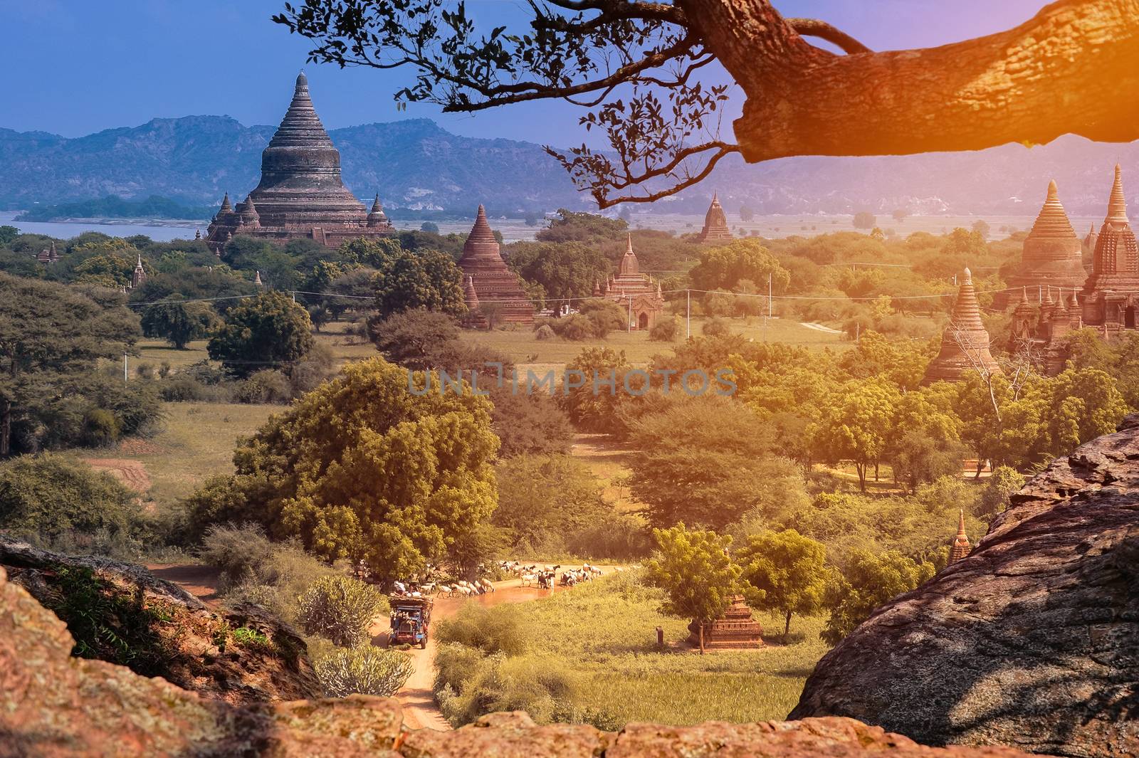 View of Pagodas on Hilltop in Bagan in Myanmar  by Surasak