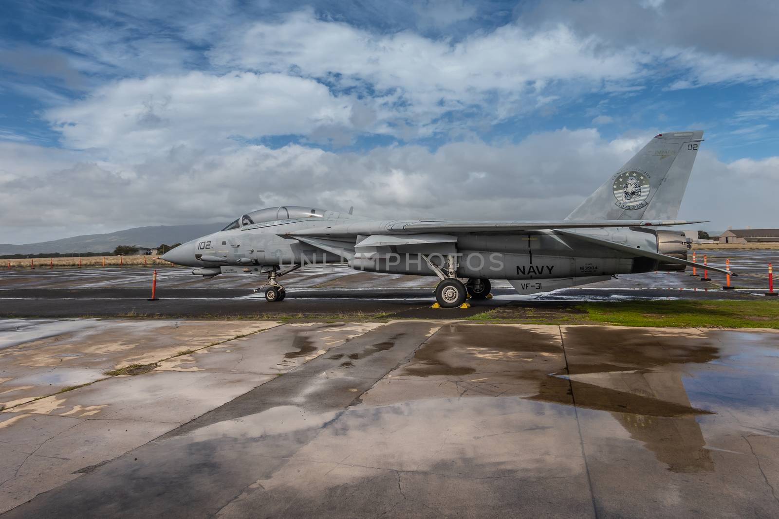 VF-31 Tomcat fighter jet outside Pearl Harbor Aviation Museum, O by Claudine