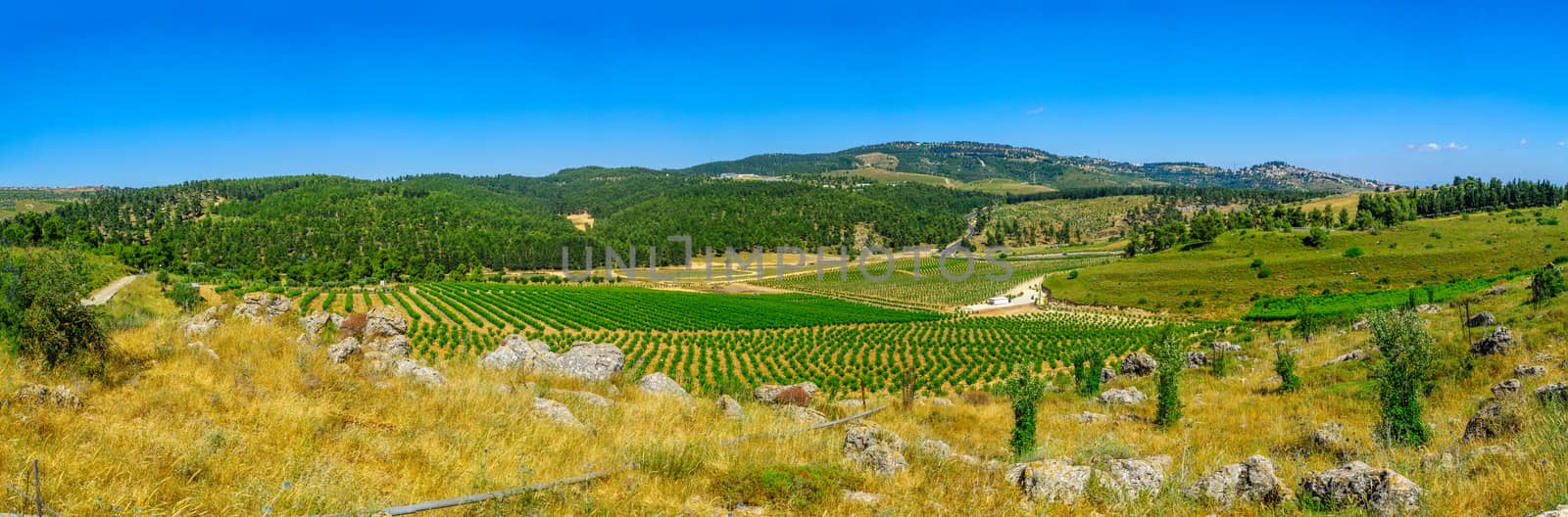 Panoramic landscape of countryside in Meron, upper Galilee, Northern Israel