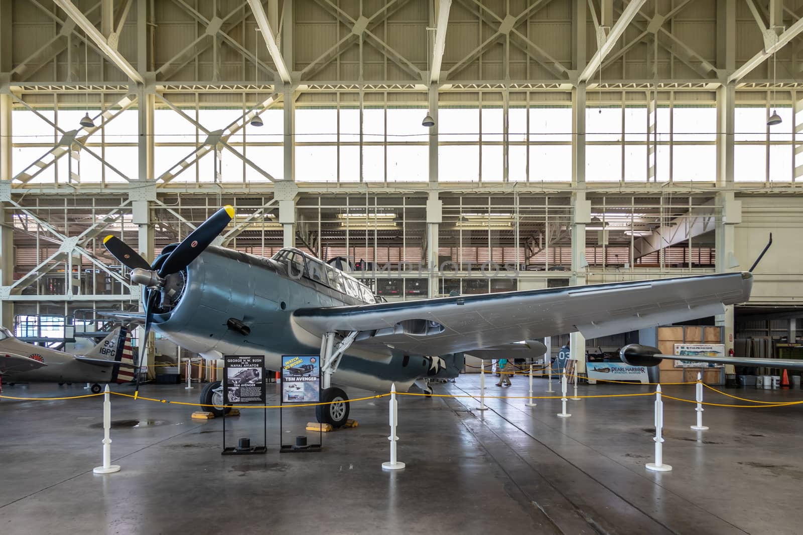 Grumman TBF/TBM Avenger in hangar of Pearl Harbor Aviation Museu by Claudine