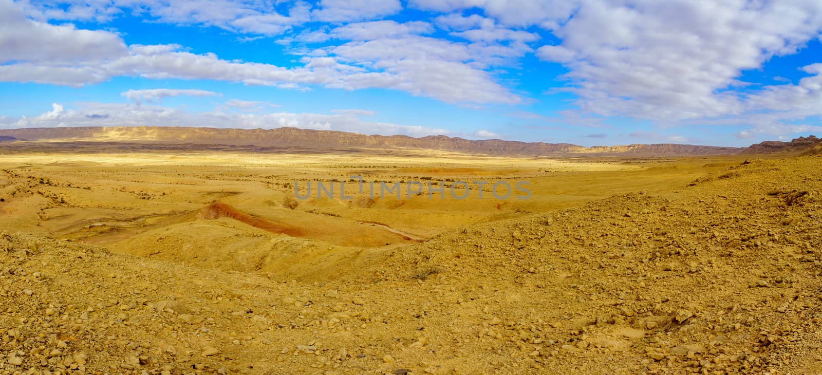 Panoramic landscape of Makhtesh (crater) Ramon (from mount Ardon by RnDmS
