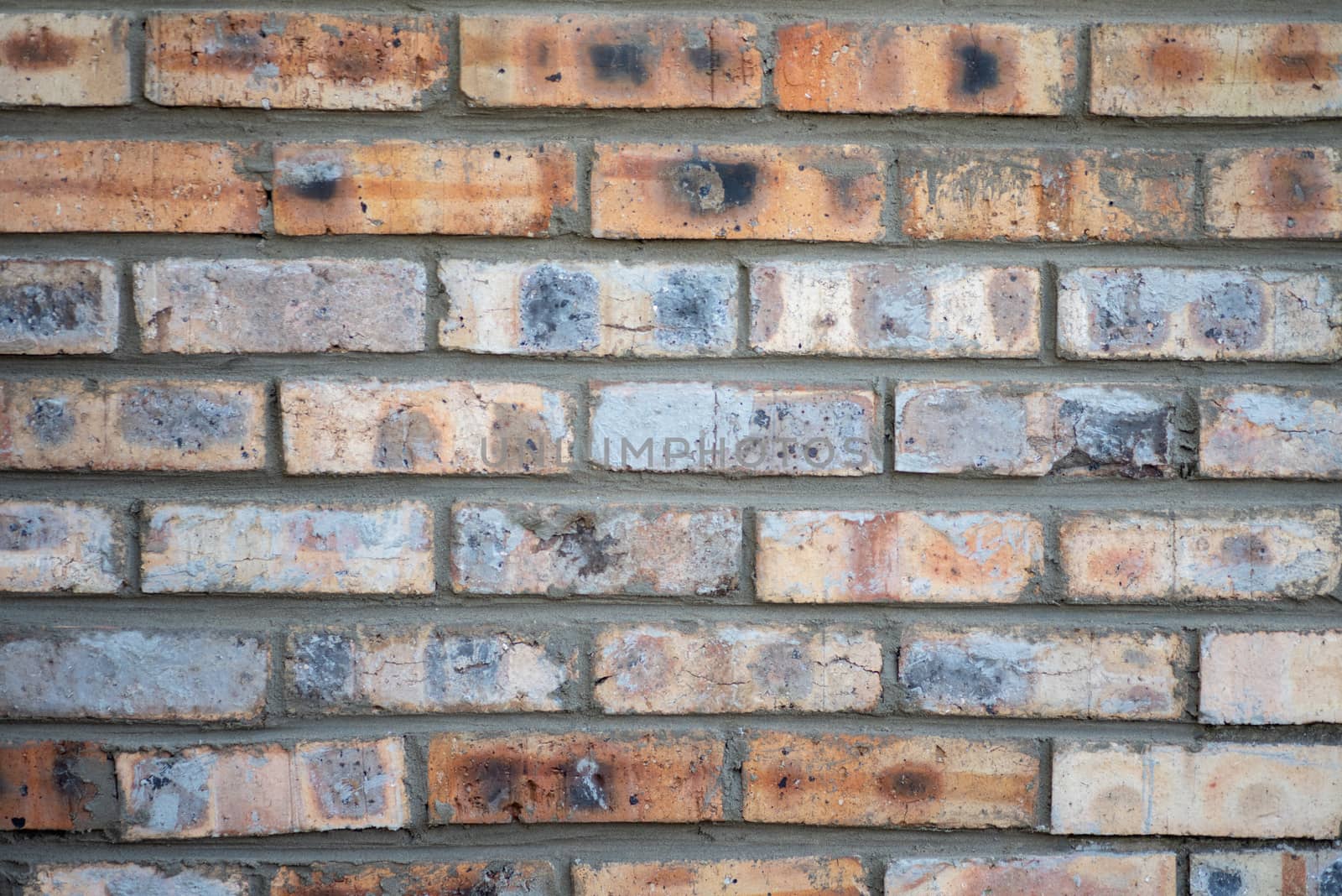 Bricks forming pattern on wall shot up close