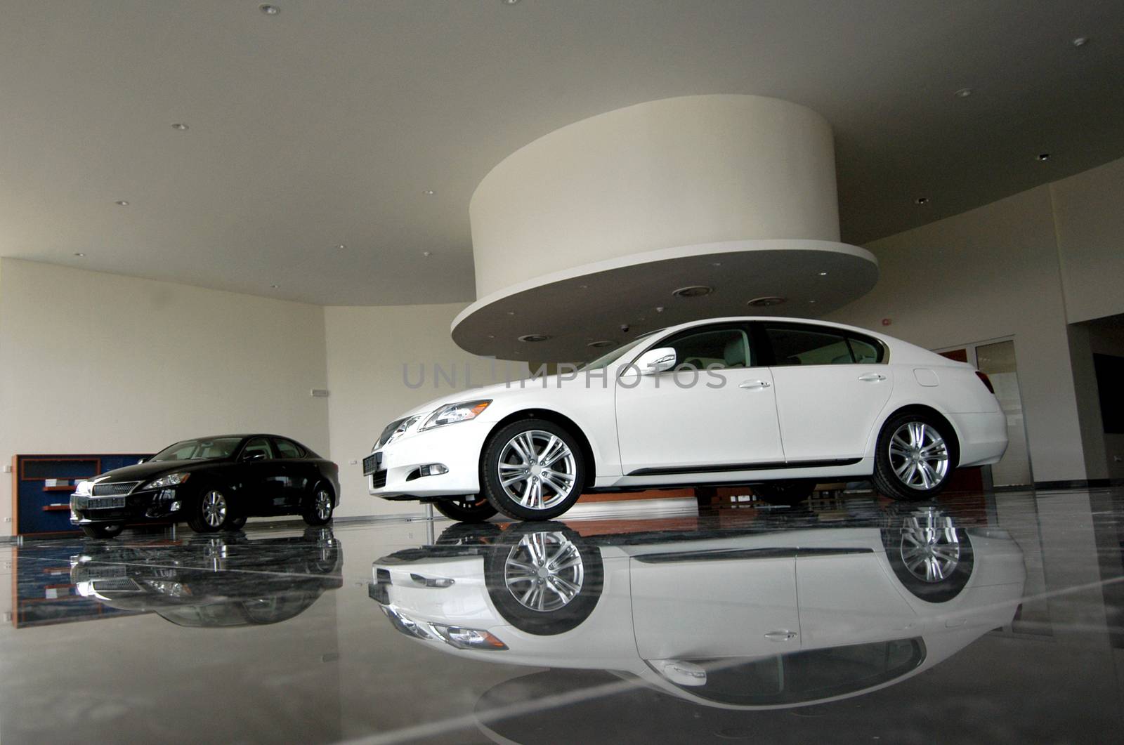 cars in showroom by aselsa