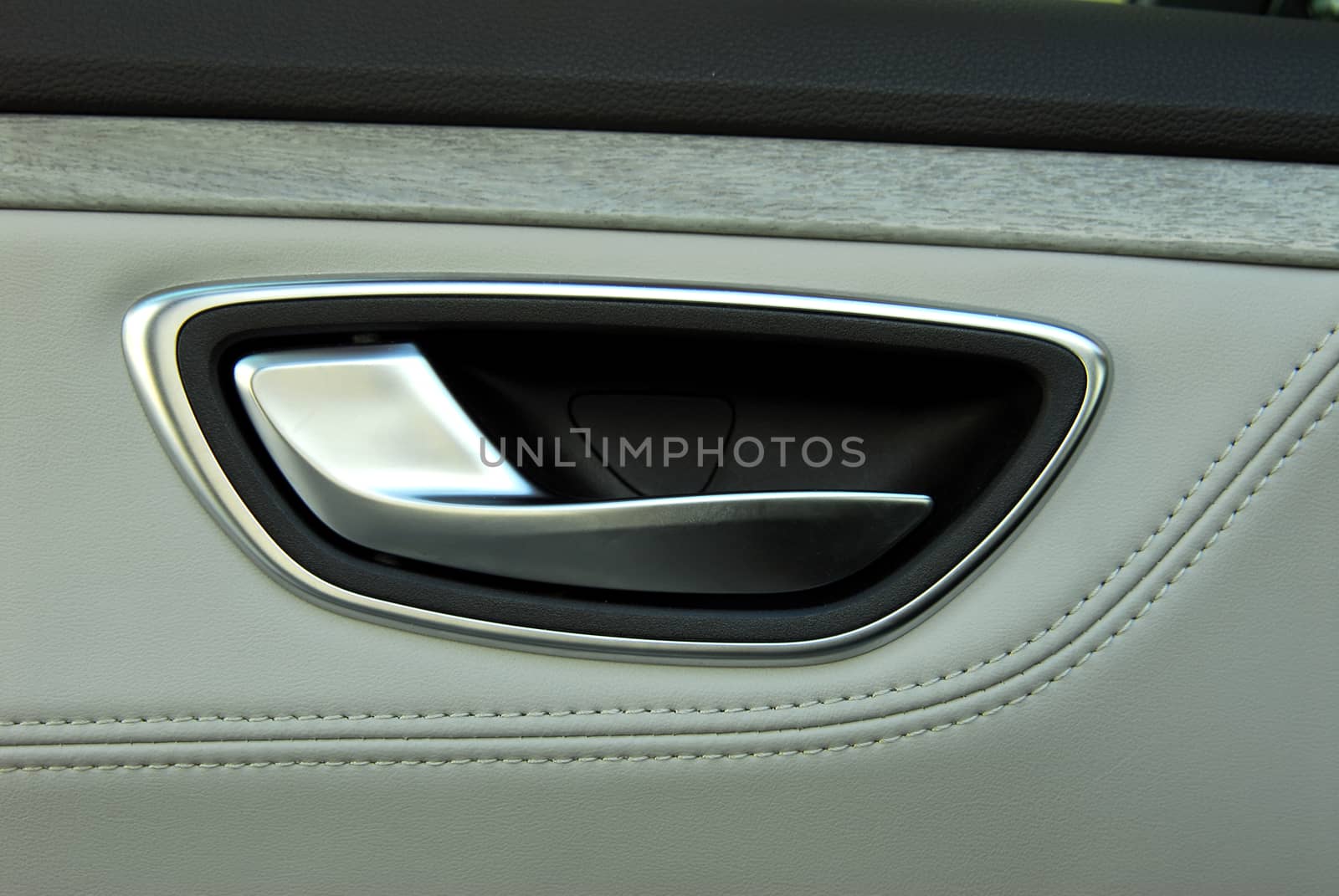 handle to open the door in a luxury car