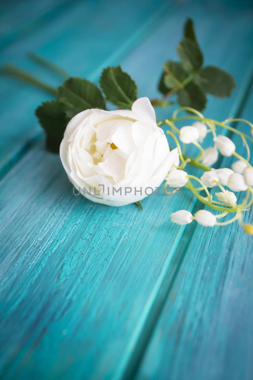 White flower on teal blue wooden table. A bouquet of white roses and lillies of the valley