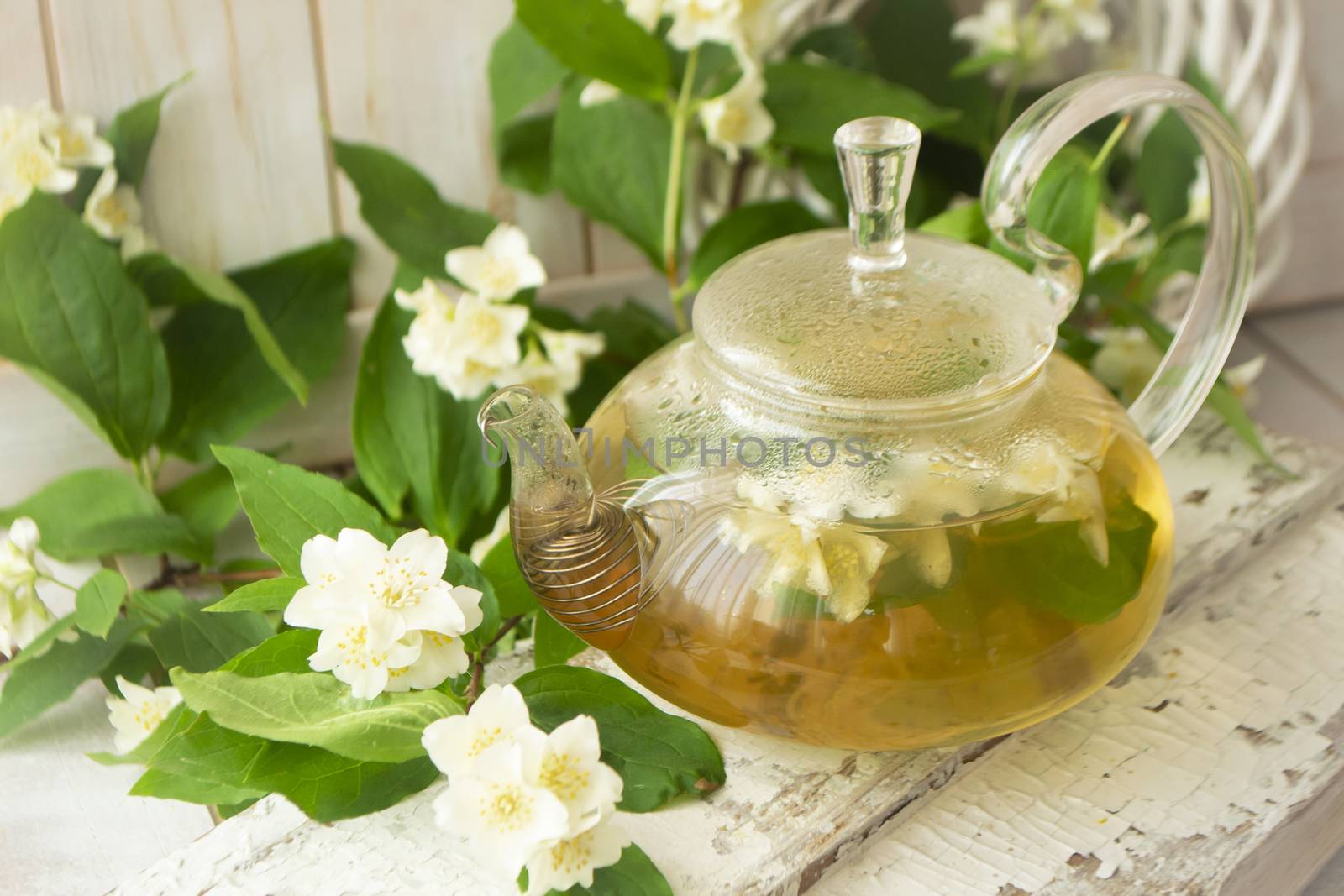 glass teapot with hot tea and jasmine flowers. branches of blooming jasmine on shabby background.