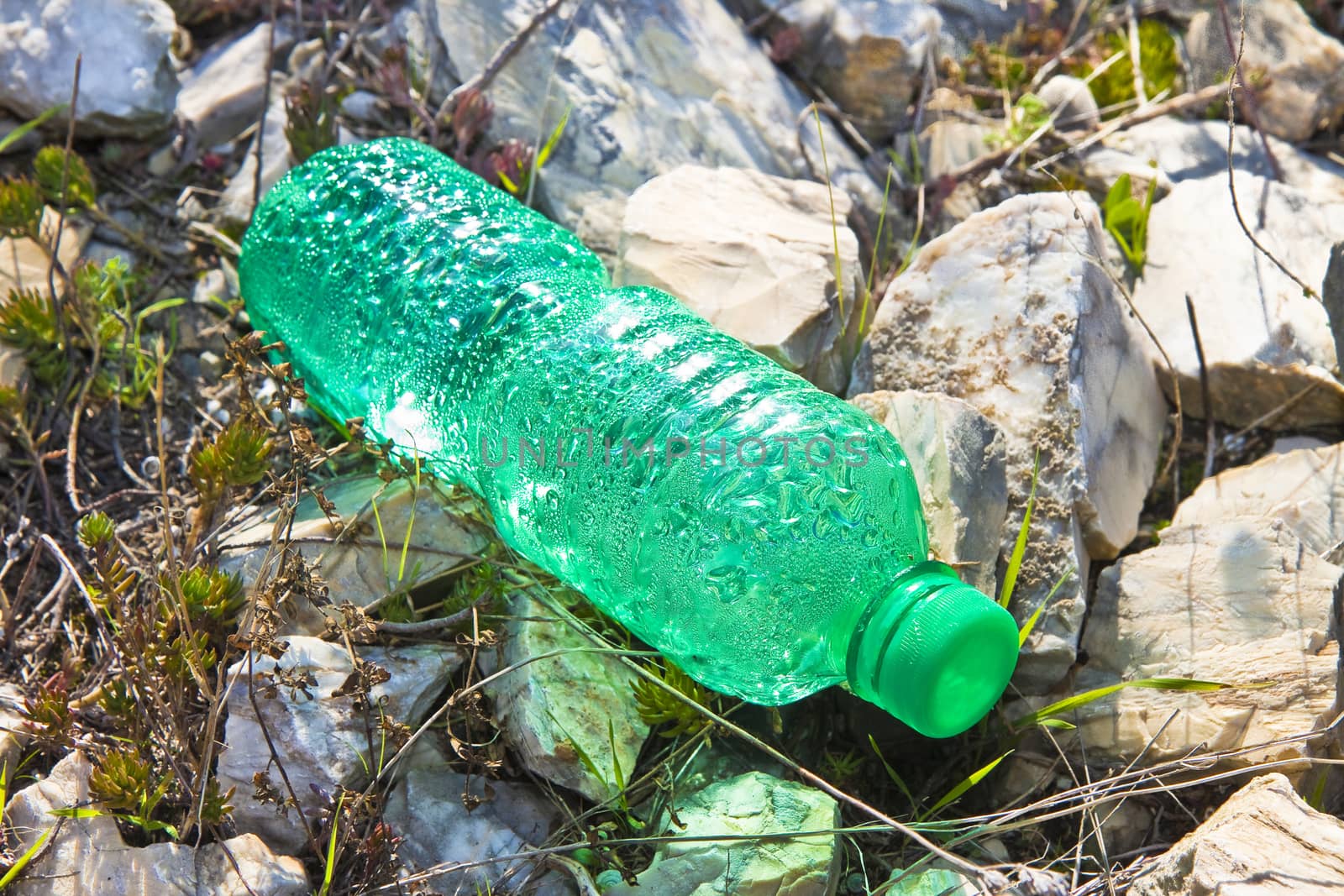 Empty green plastic bottle abandoned on stone beach