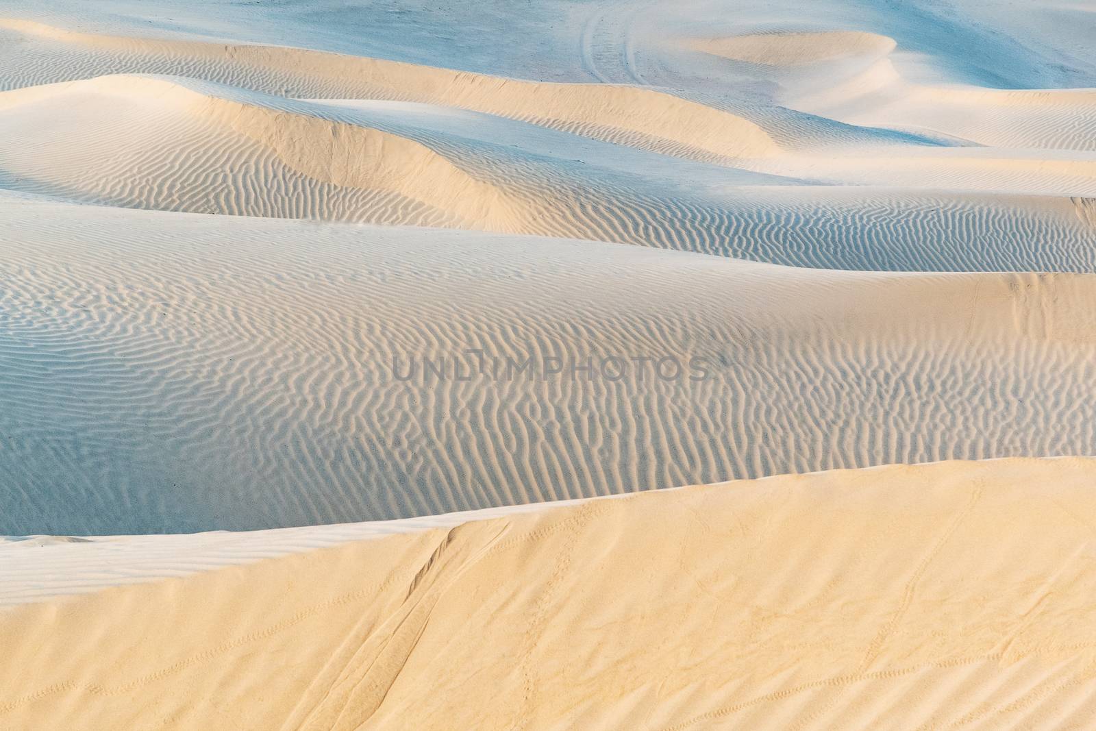 Beautiful sand dune in Thar desert, Jaisalmer, Rajasthan, India.