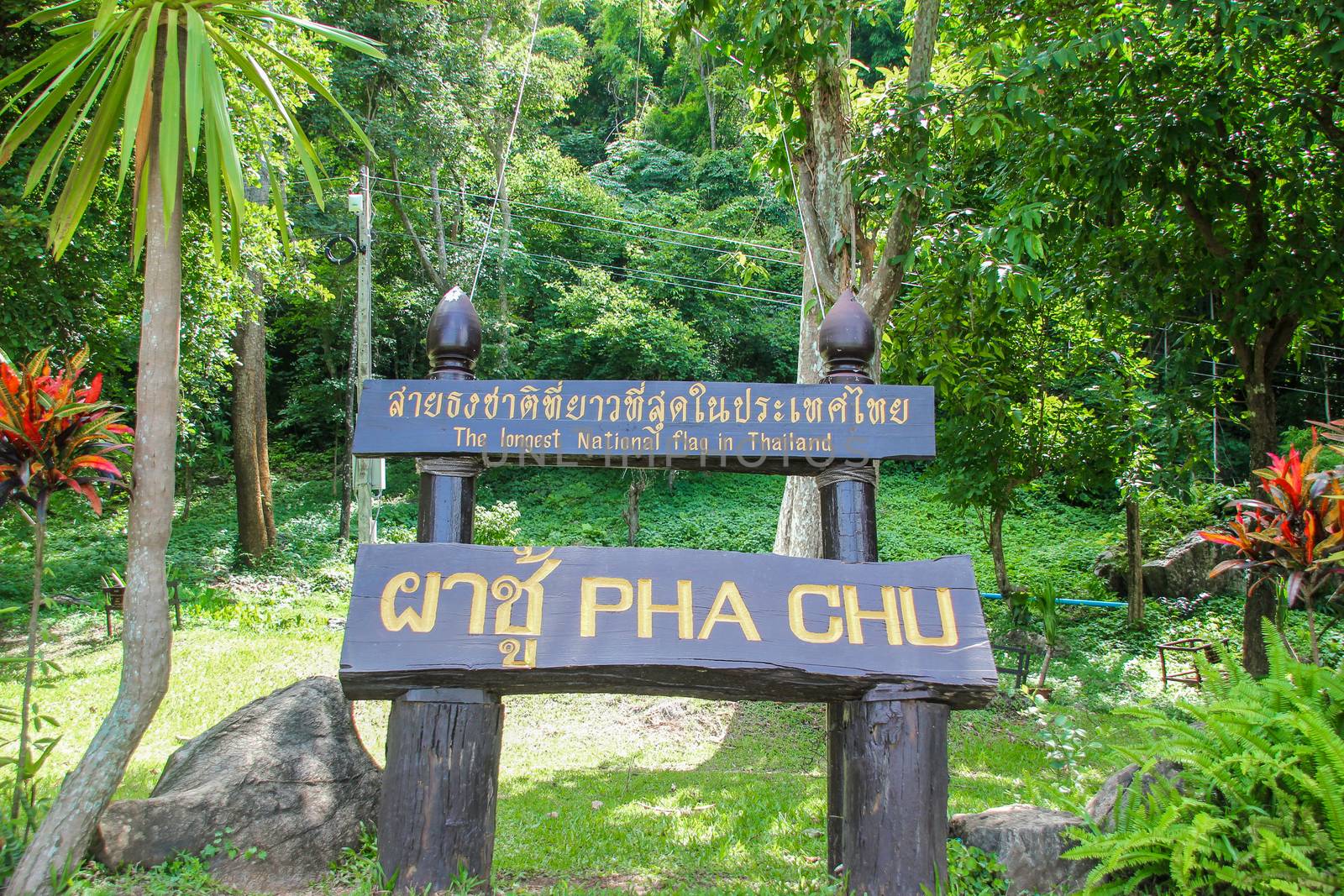 Doi Pha Chu, at the Sri Nan National Park National Park, where the inviting flag The longest in Thailand