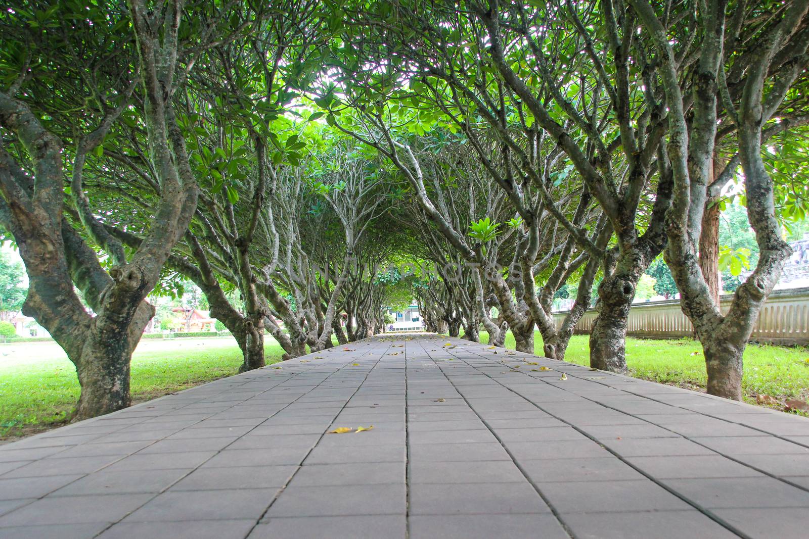 Leelawadee Tunnel , Nan National Museum
Mueang District, Nan Province thailand.