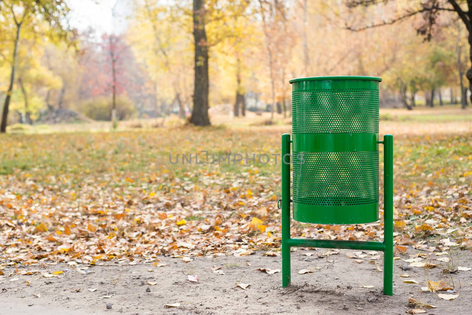 New green trash bin in the park in autumn