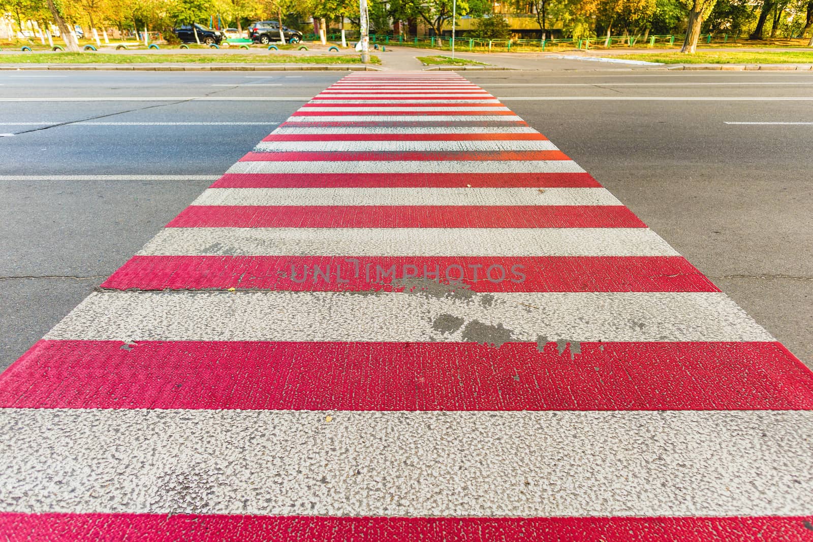 A red and white pedestrian crossing on blue black asphalt in the town of Kiev, Ukraine