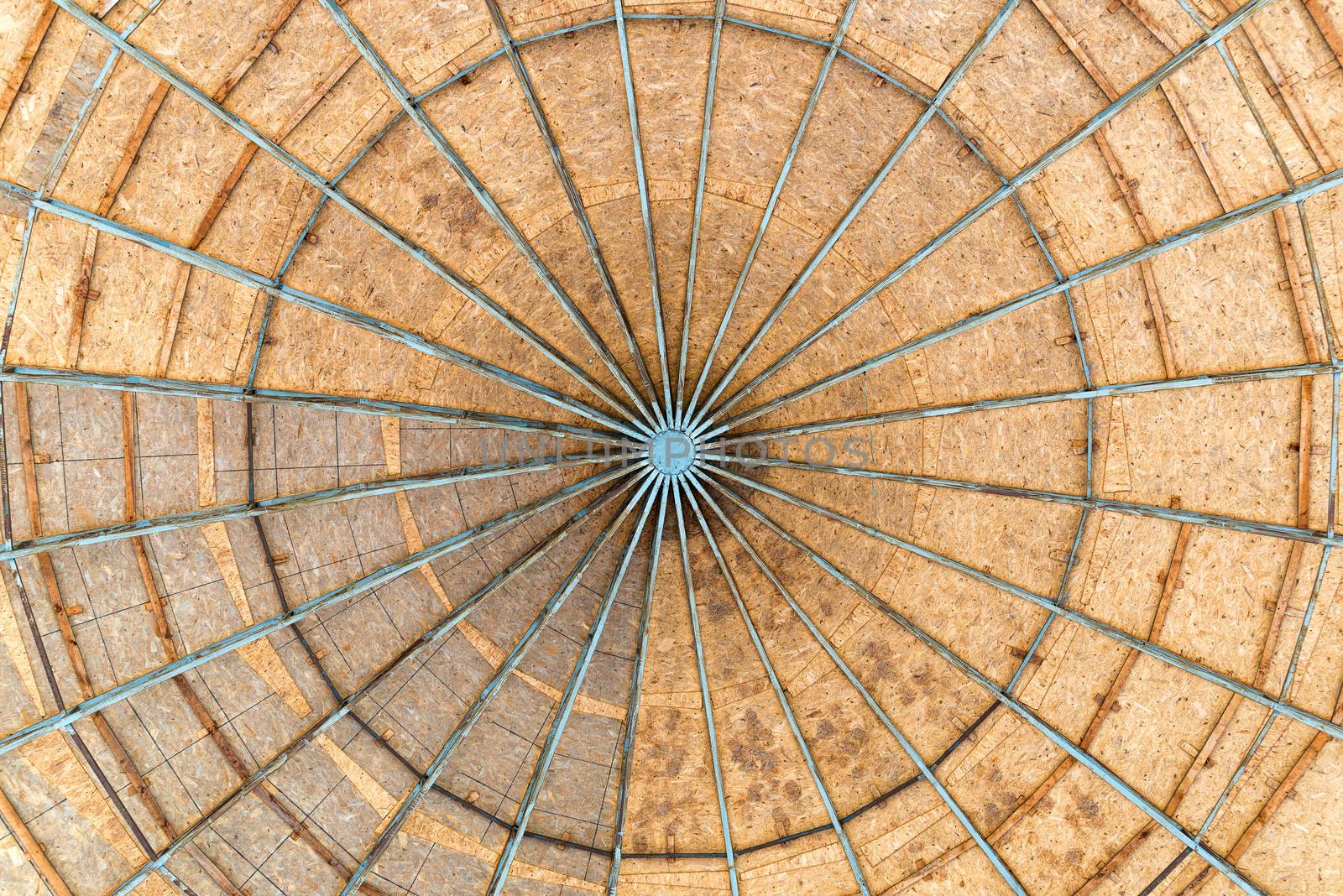 Engineered Wood Dome by MaxalTamor