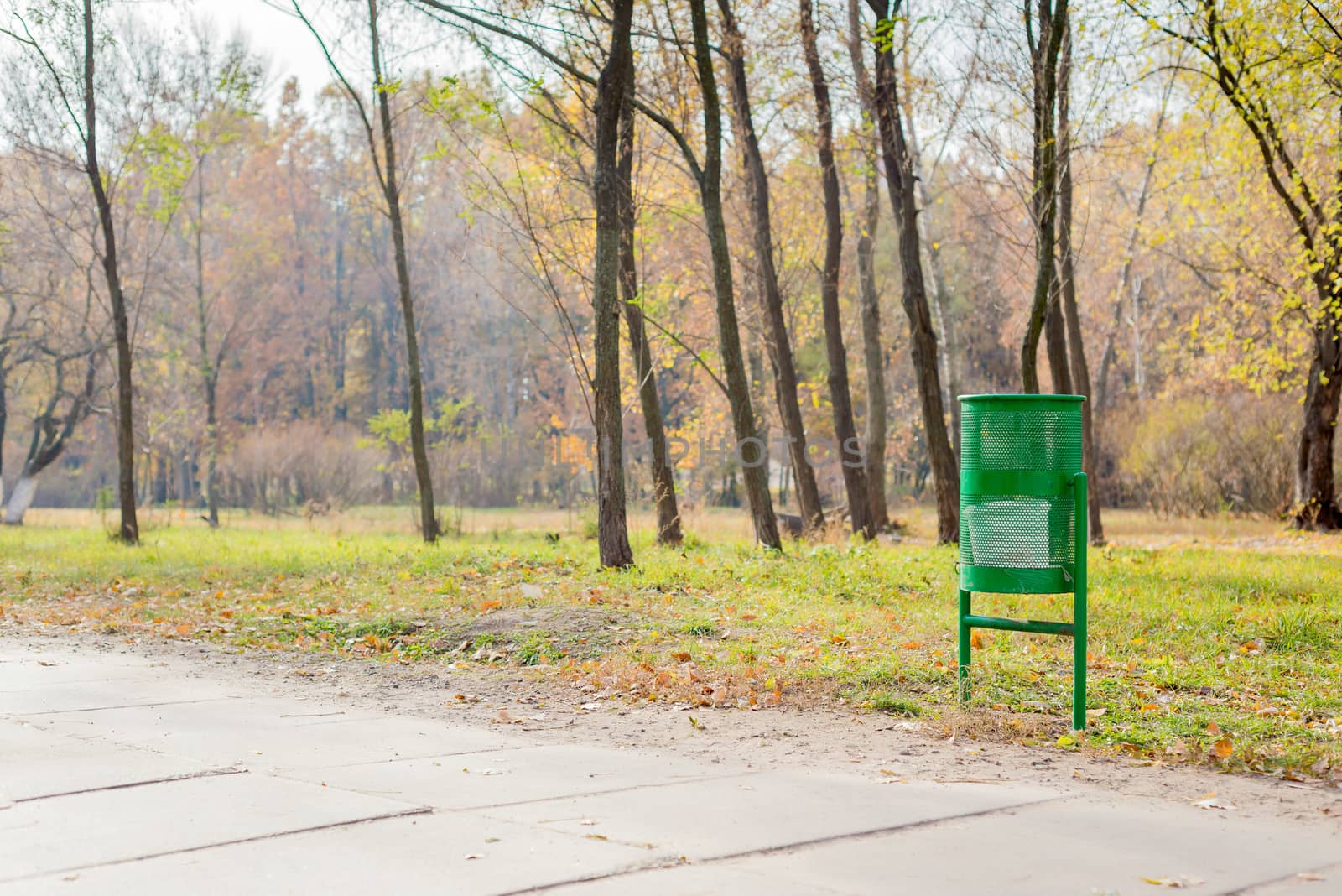 Green Trash Bin in the Park by MaxalTamor