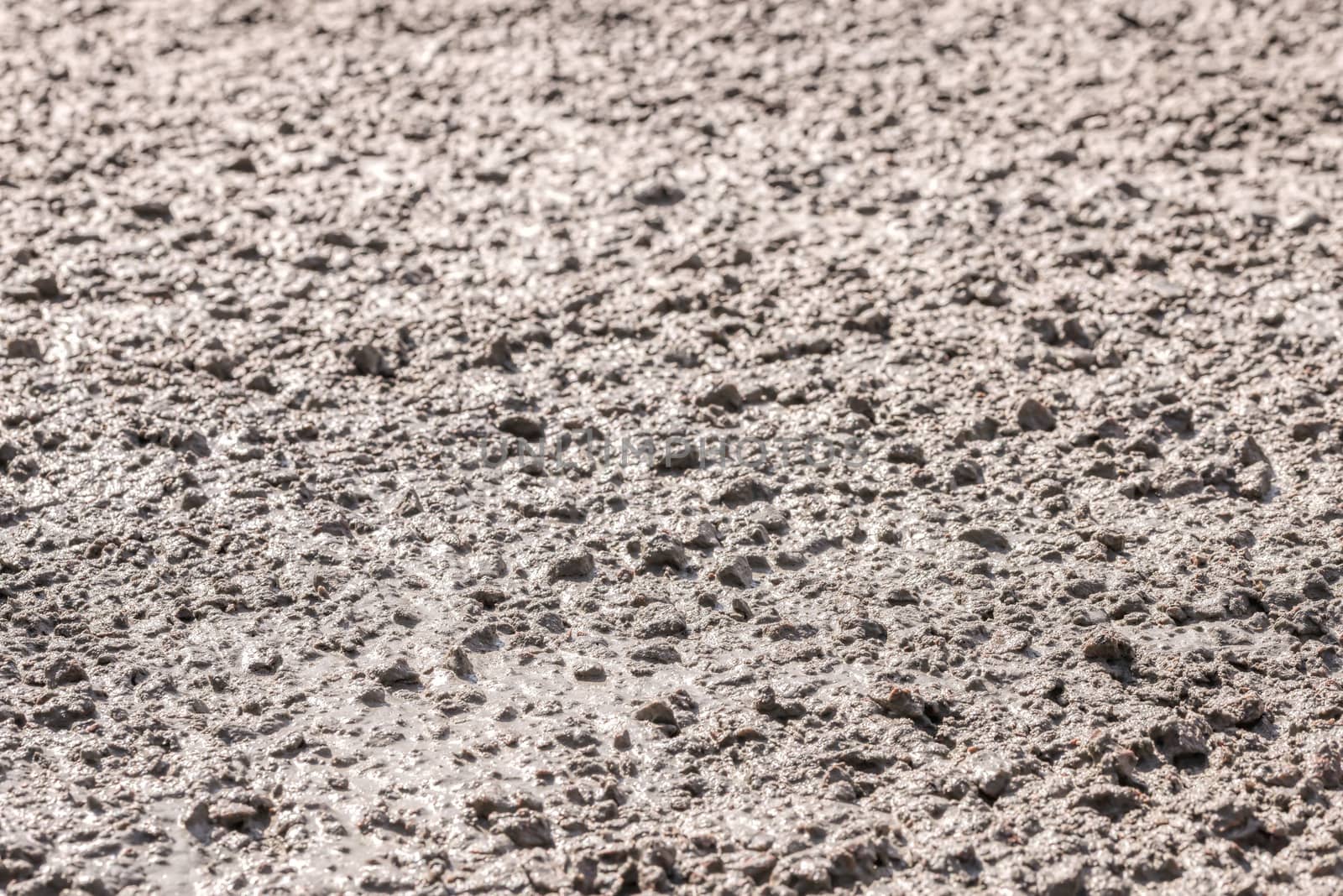 Detail of a fresh concrete surface under the sun