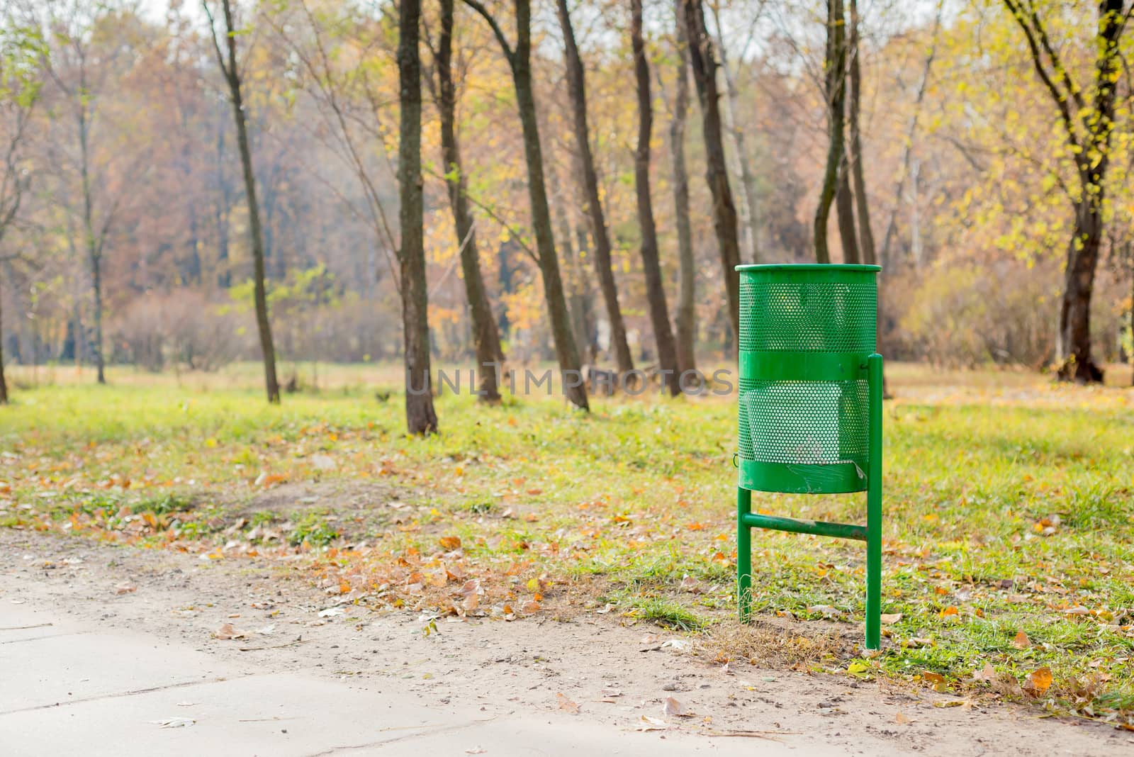 New green trash bin in the park in autumn