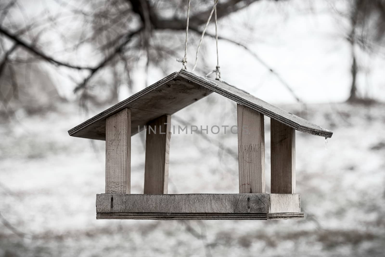 Wooden bird shelter hung in a tree during the cold winter