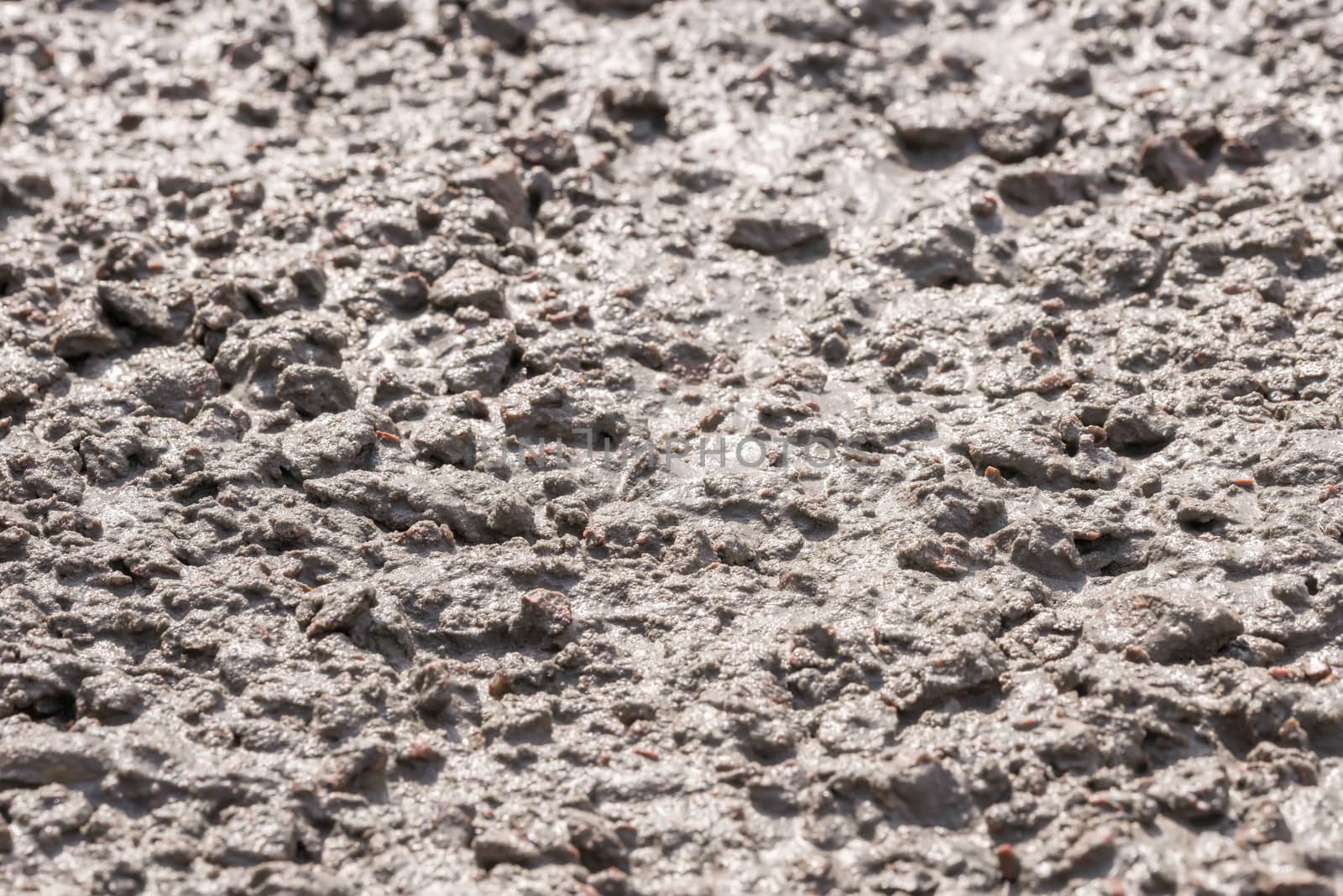 Detail of a fresh concrete surface under the sun