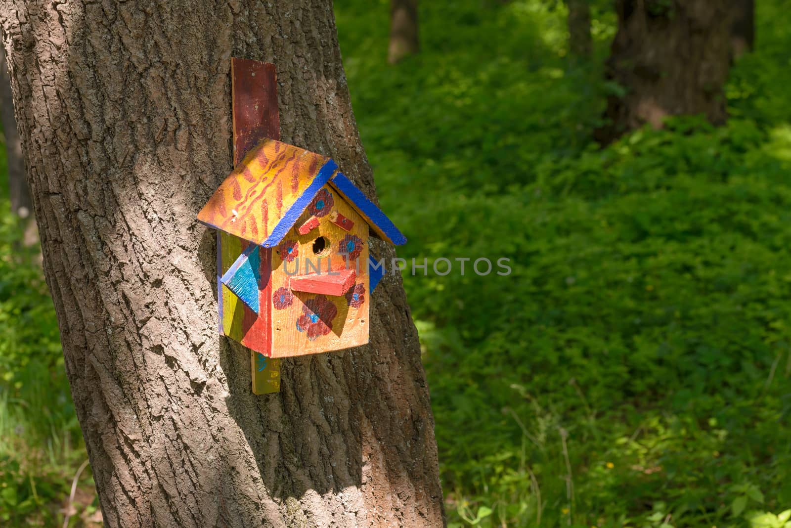 Bird Shelter in the Wood by MaxalTamor