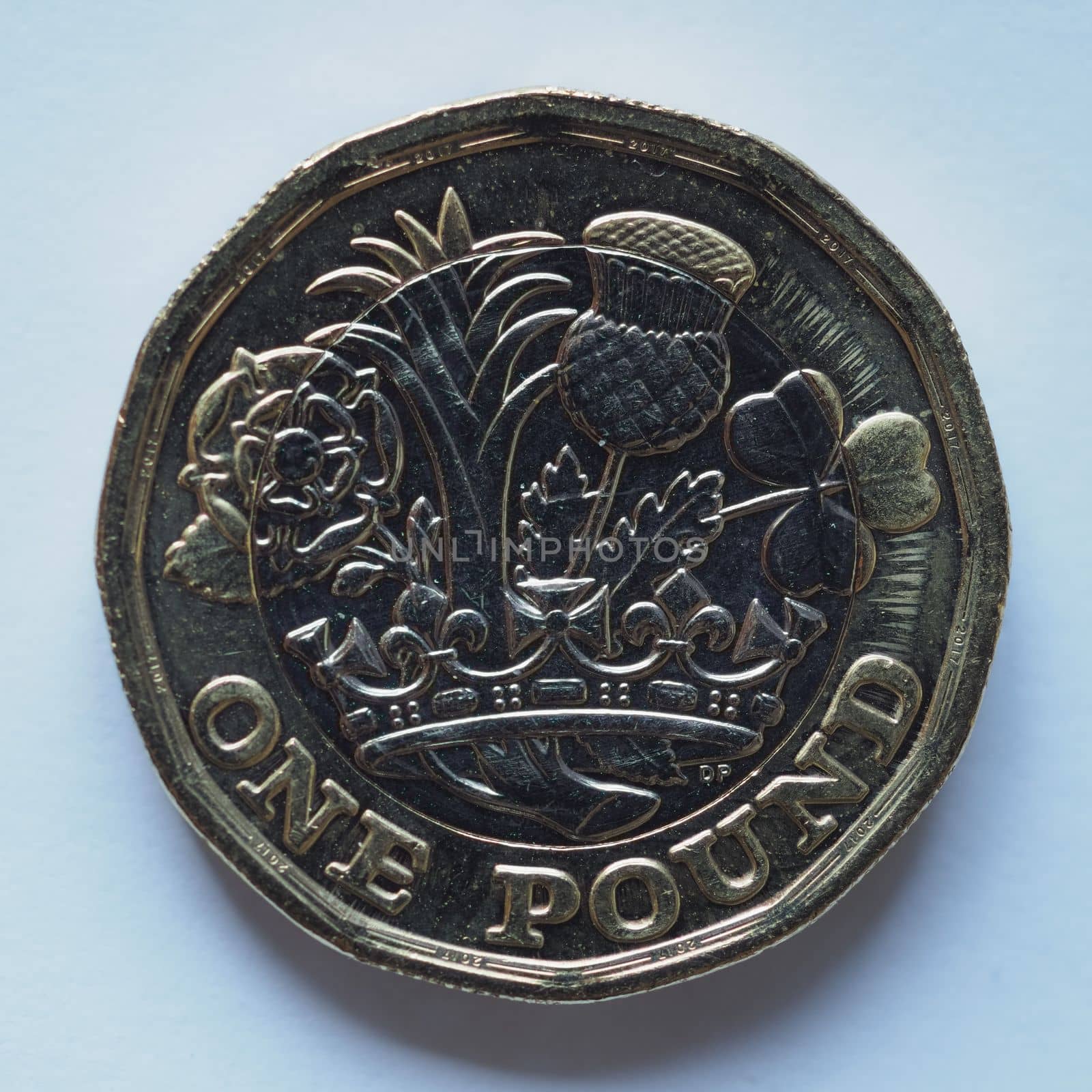 1 pound coin money (GBP), currency of United Kingdom