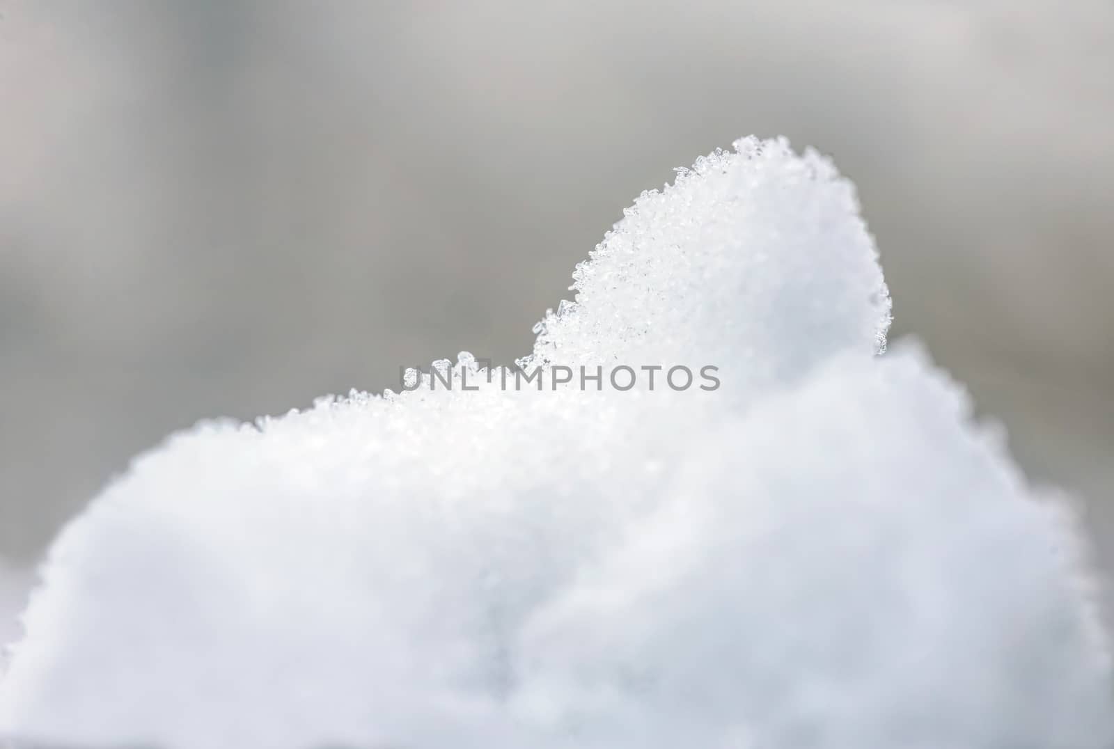 Macro detail of frozen snow on a branch during the cold winter