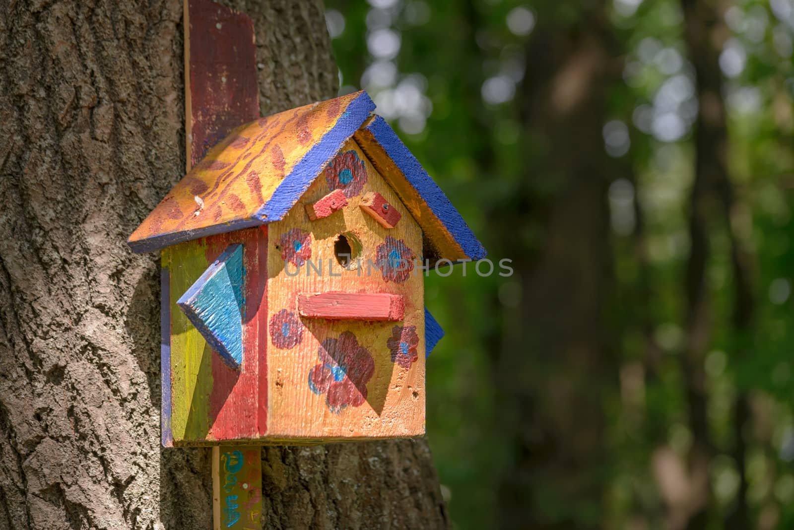 Handwork bird shelter made of chipboard and zinc in the woods during spring