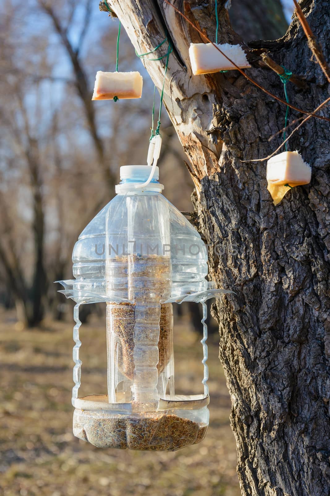 Big plastic bottle used as feeder for birds in winter