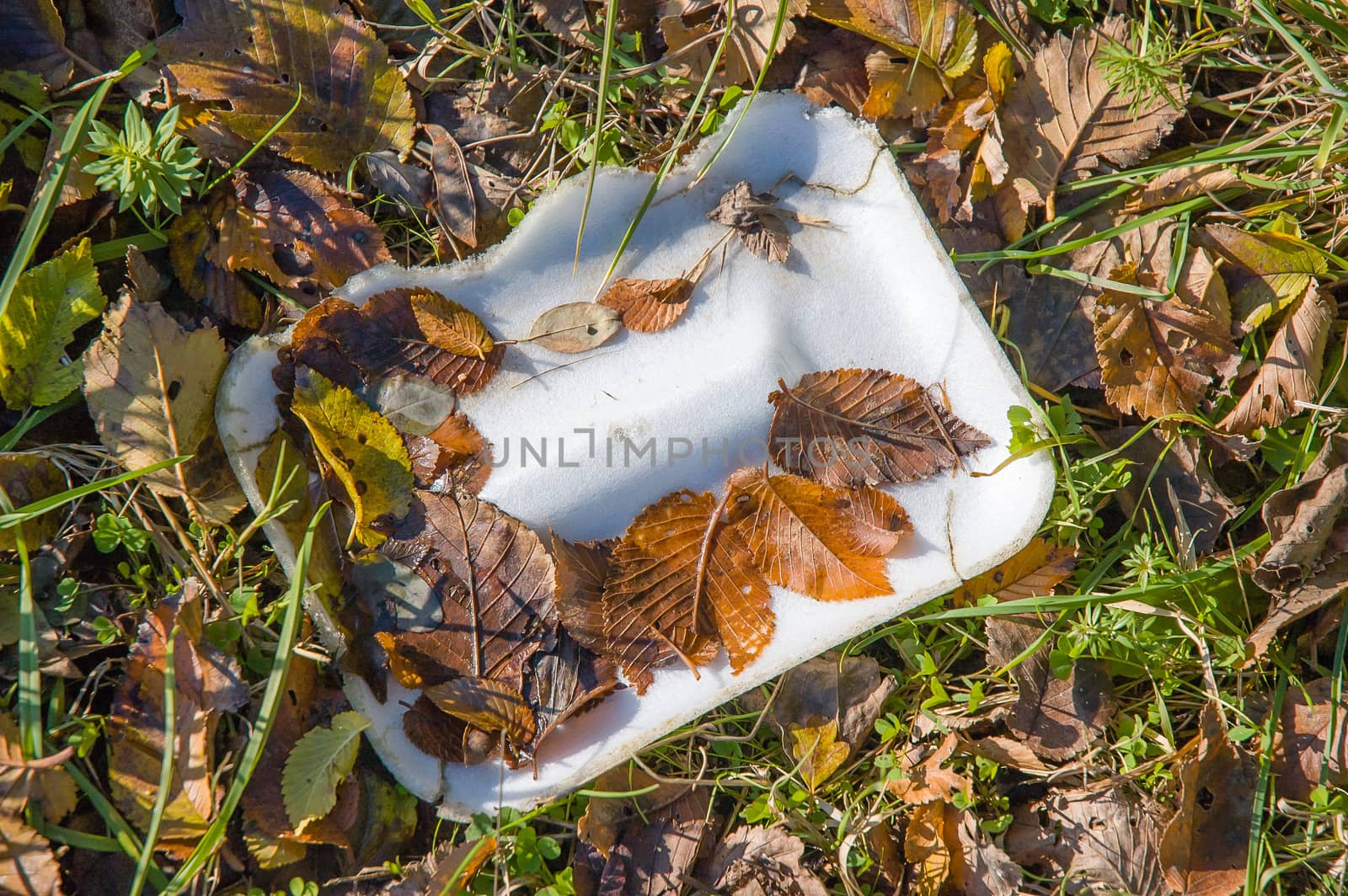 White foam tray left in Nature by disrespectful people. An example of pollution of the environment