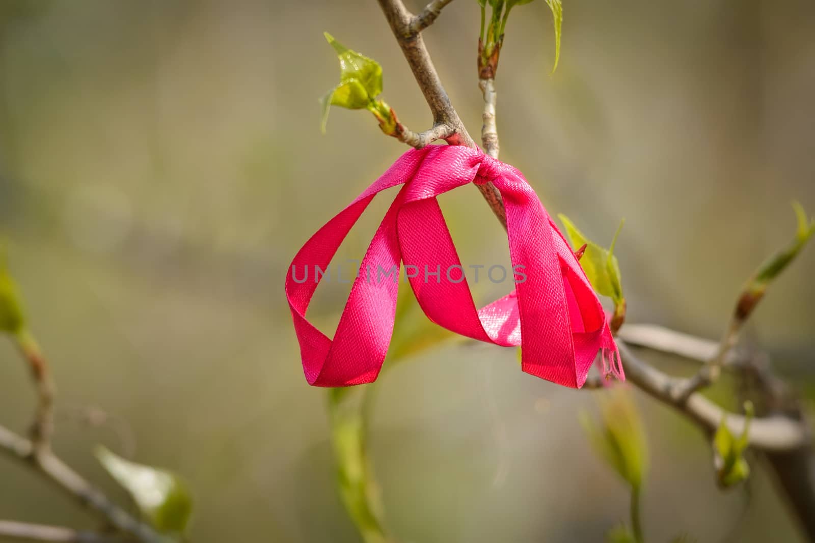 A red ribbon tied on a tree branch