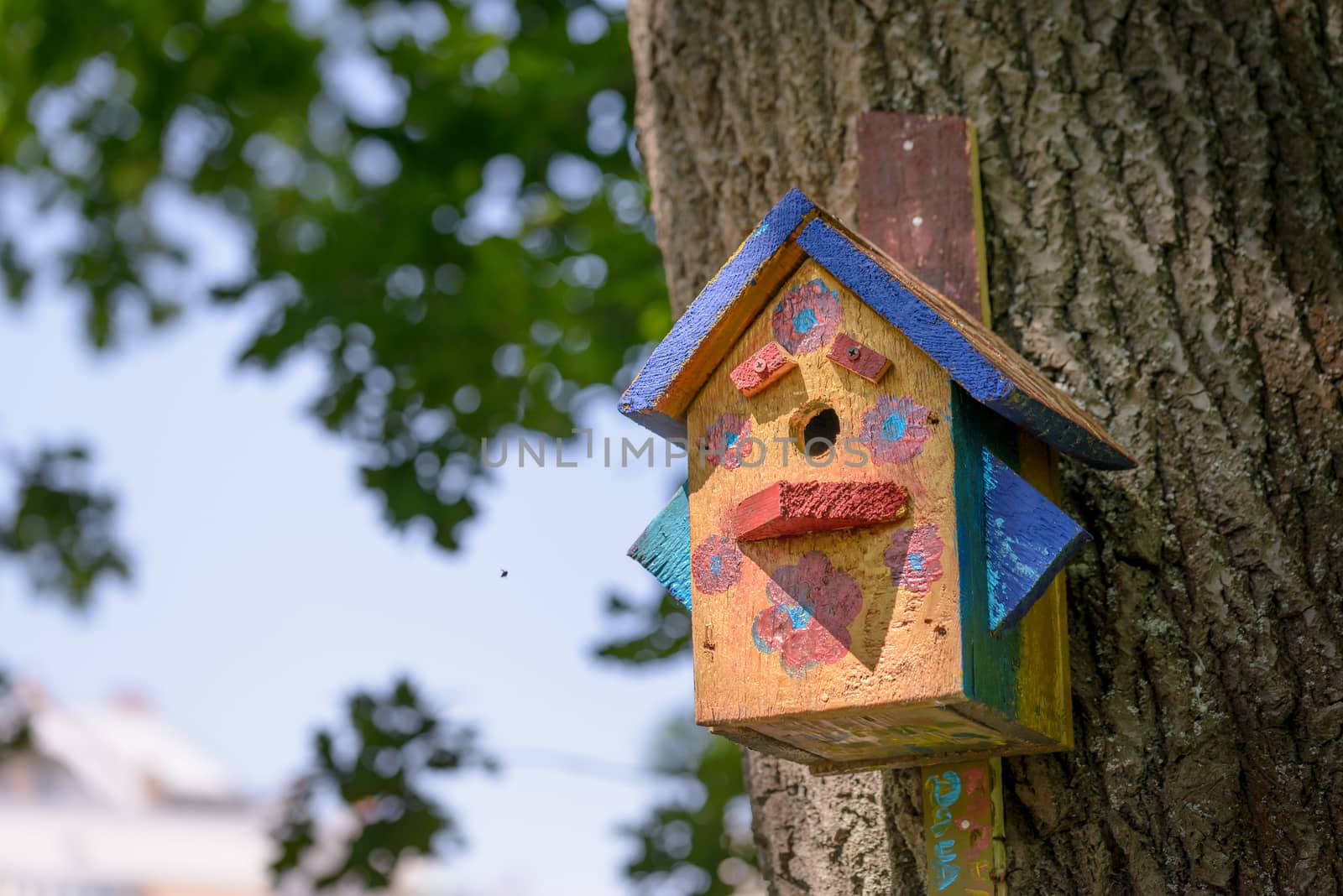 Handwork bird shelter made of chipboard and zinc in the woods during spring